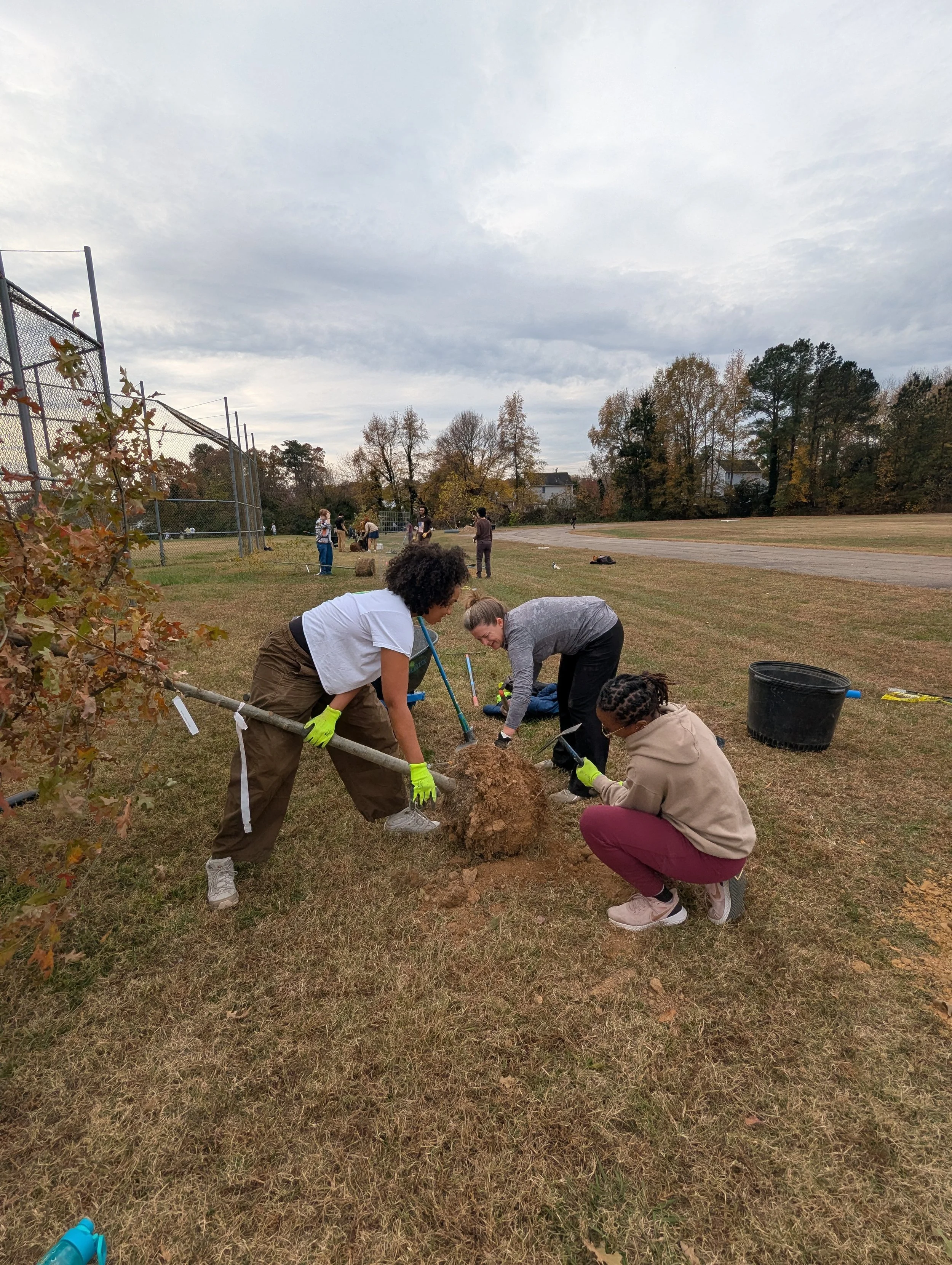 PXL_20251115_154457913 (1).jpg