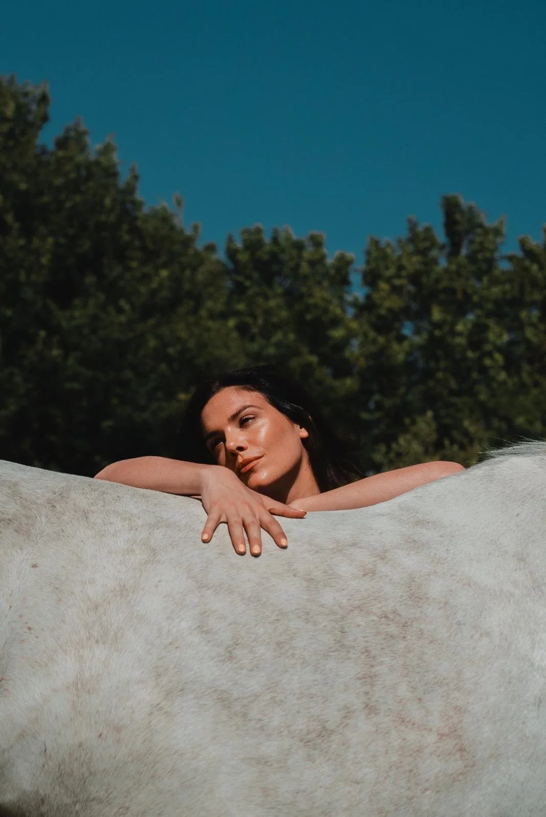 A woman resting her head and arm on a white horse outdoors, with trees and a blue sky in the background.