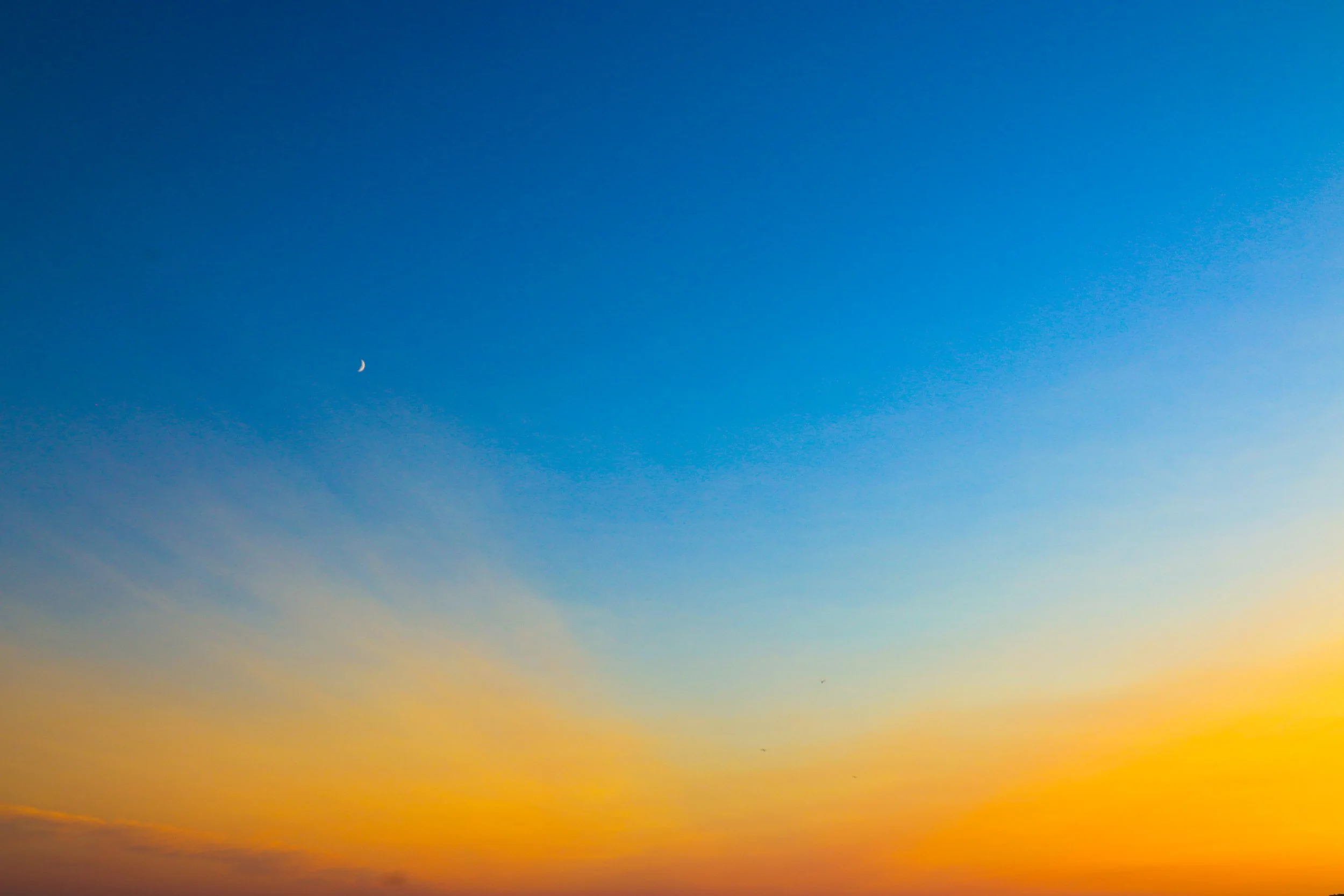 3F8C10F3-010E-4A2D-8F75-E4A72040E30E.jpg