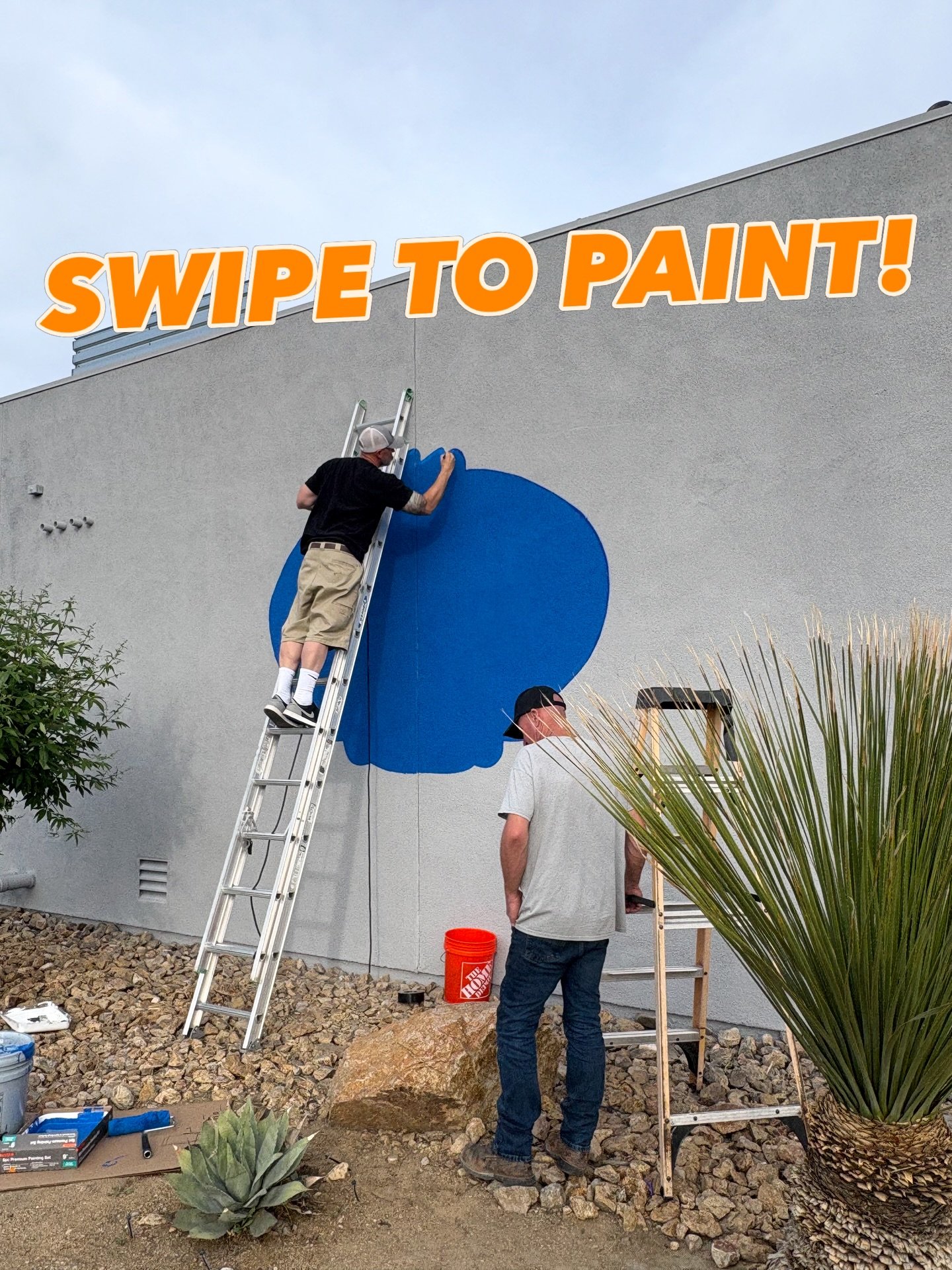 What do you think of our back wall art?