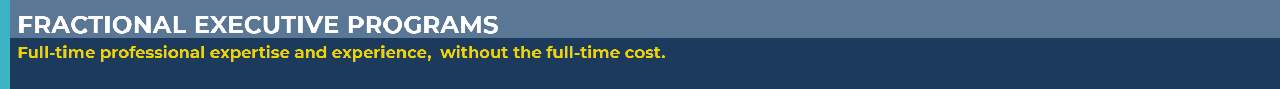 Fractional Executive Banner