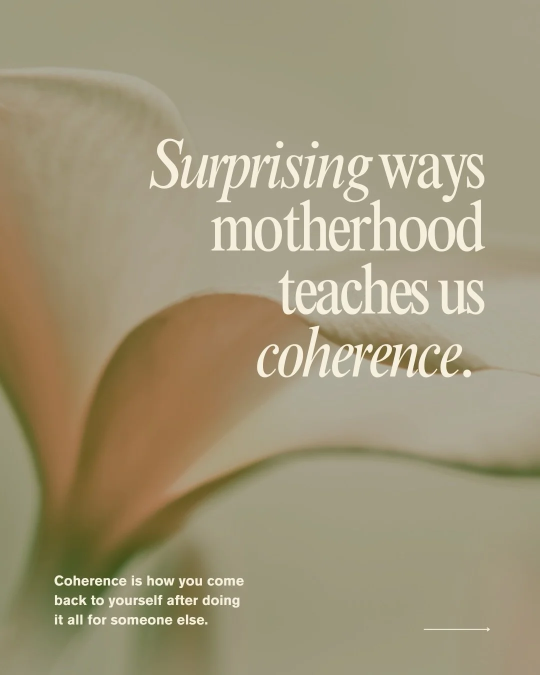 To my fellow mothers&mdash;

I see you.

Not just in what you do,
but in what you hold.

Because motherhood isn&rsquo;t only demanding externally.
What it asks of you internally is profound.

The steadiness.
The regulation.
The ability to remain pres