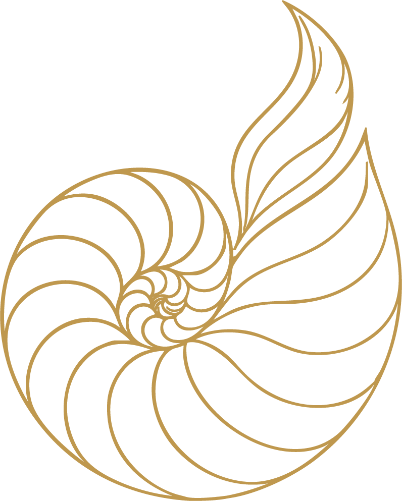 Gold outline of a nautilus shell