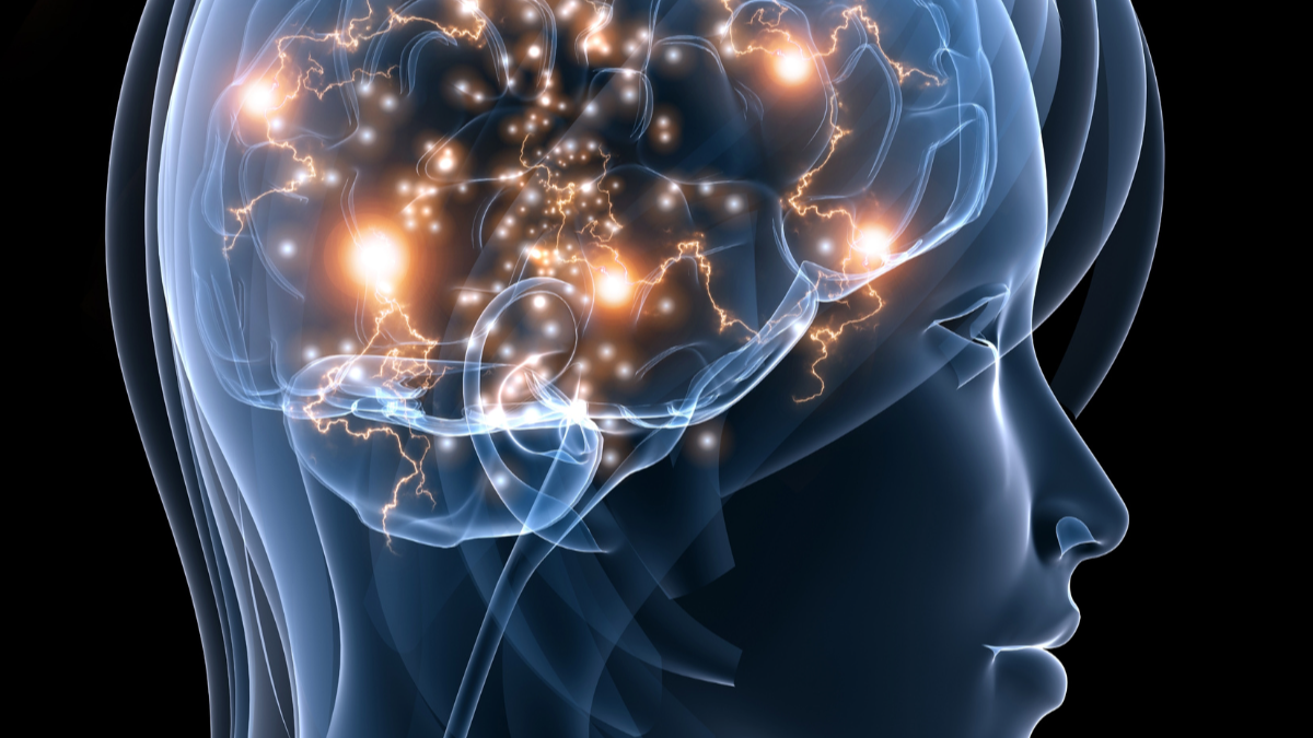 Brain Capital, Operationalized: Strategy is Downstream of Physiology