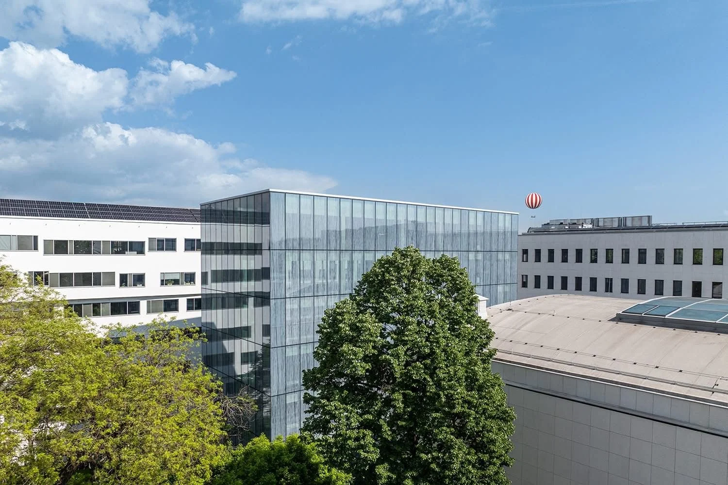 WhatsApp Image 2025-07-01 at 22.10.19 (1).jpeg