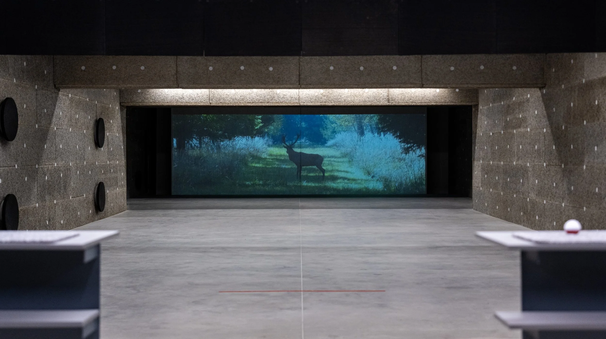 Indoor shooting range with a digital screen displaying a forest scene with a deer, and a red and white target on a stand to the right.