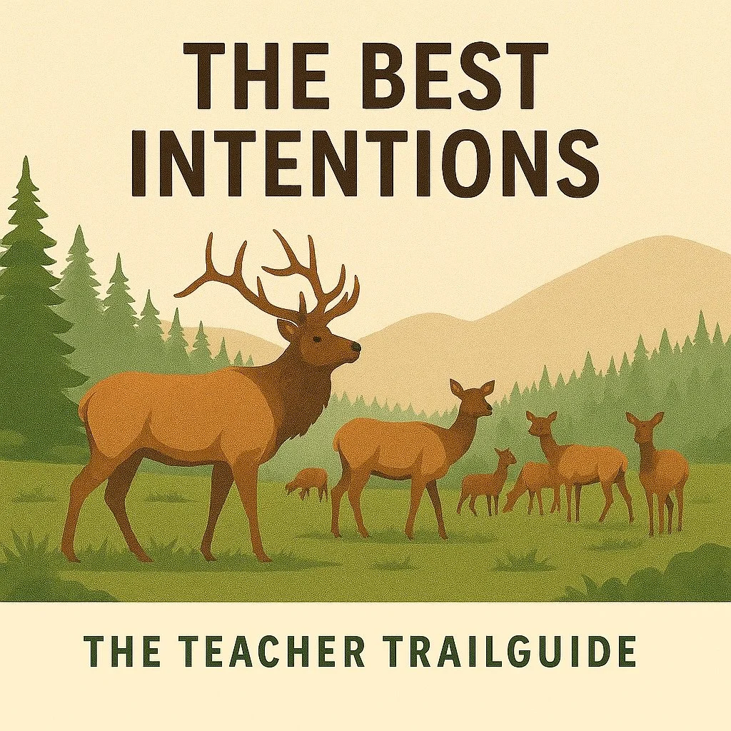 “the best intentions”