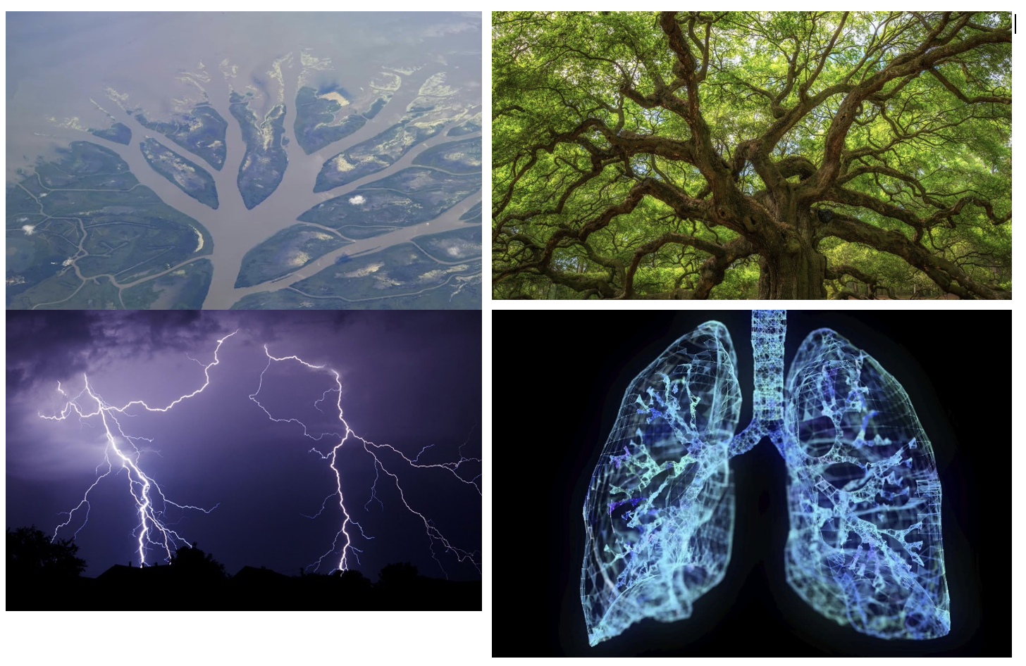 Screenshot 2025-09-21 at 1.20.39 PM.png