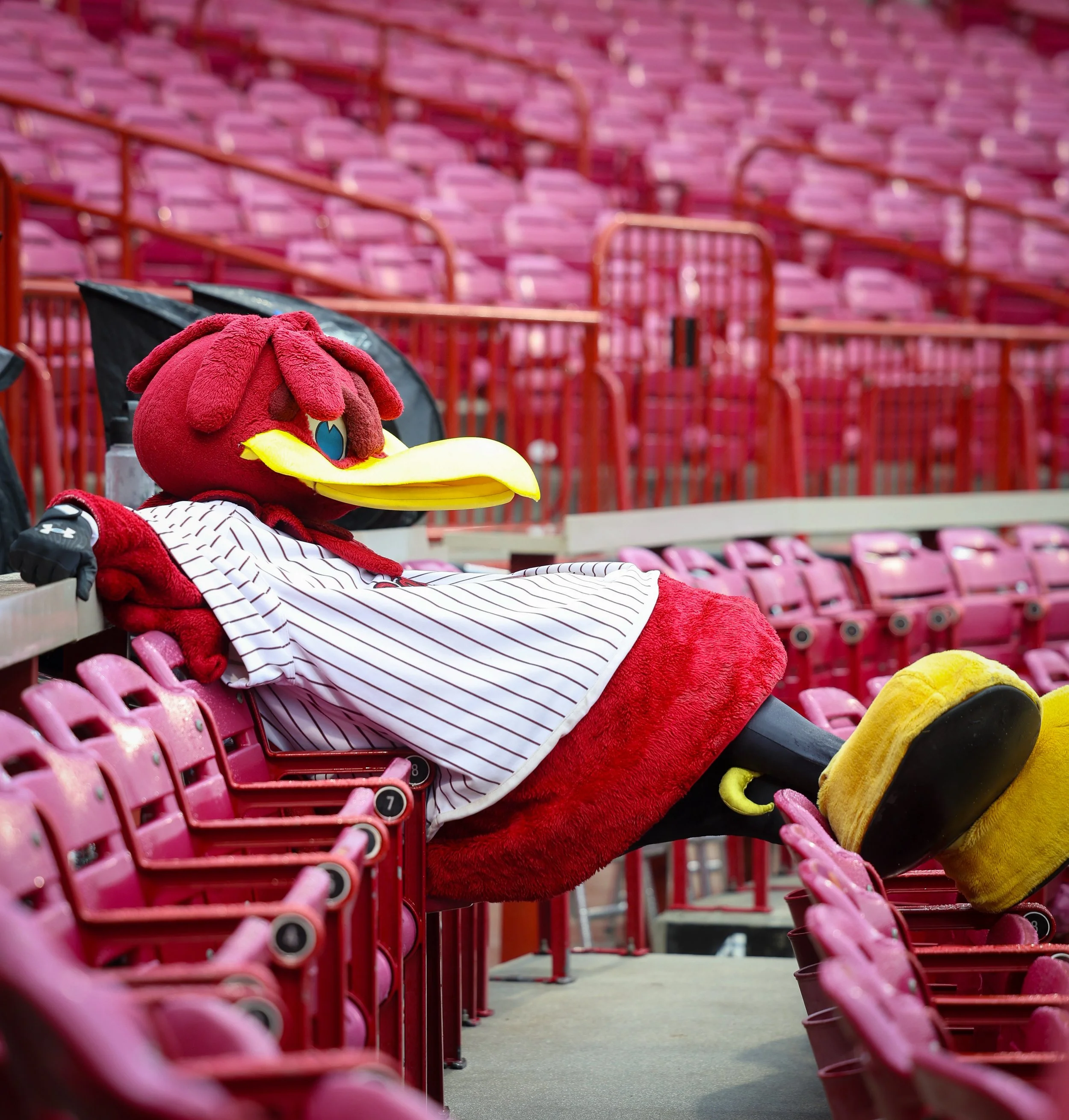 Costumed mascot of a cartoon bird wearing a baseball uniform, sitting relaxed on stadium seats in an empty arena.