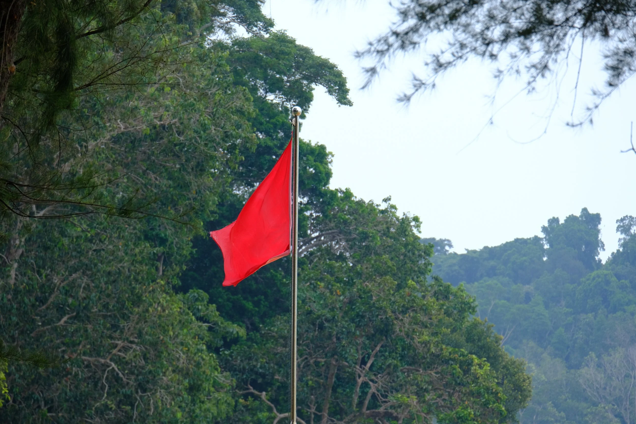 3 Red Flags of Poor Forestry Practices