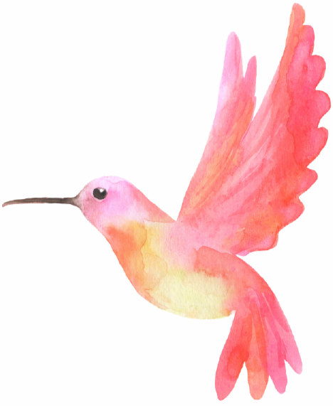 Watercolor illustration of a pink and yellow hummingbird with outstretched wings and a long beak.