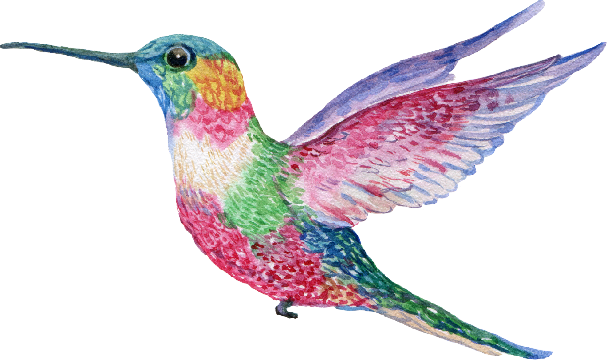 Colorful watercolor painting of a hummingbird with iridescent feathers and outstretched wings.