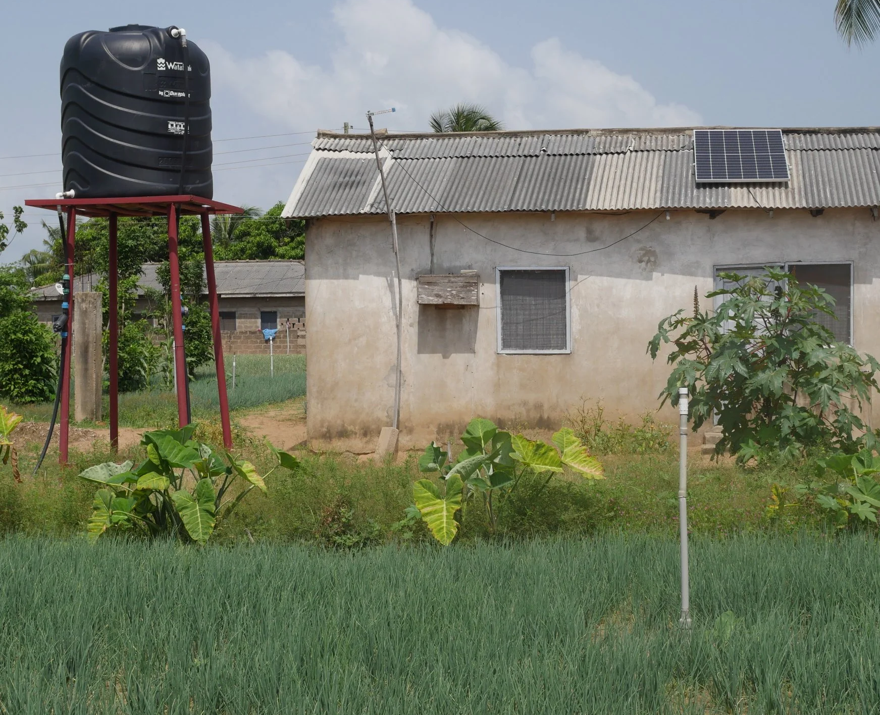 Solar Irrigation Training - Oti - Feb 2026