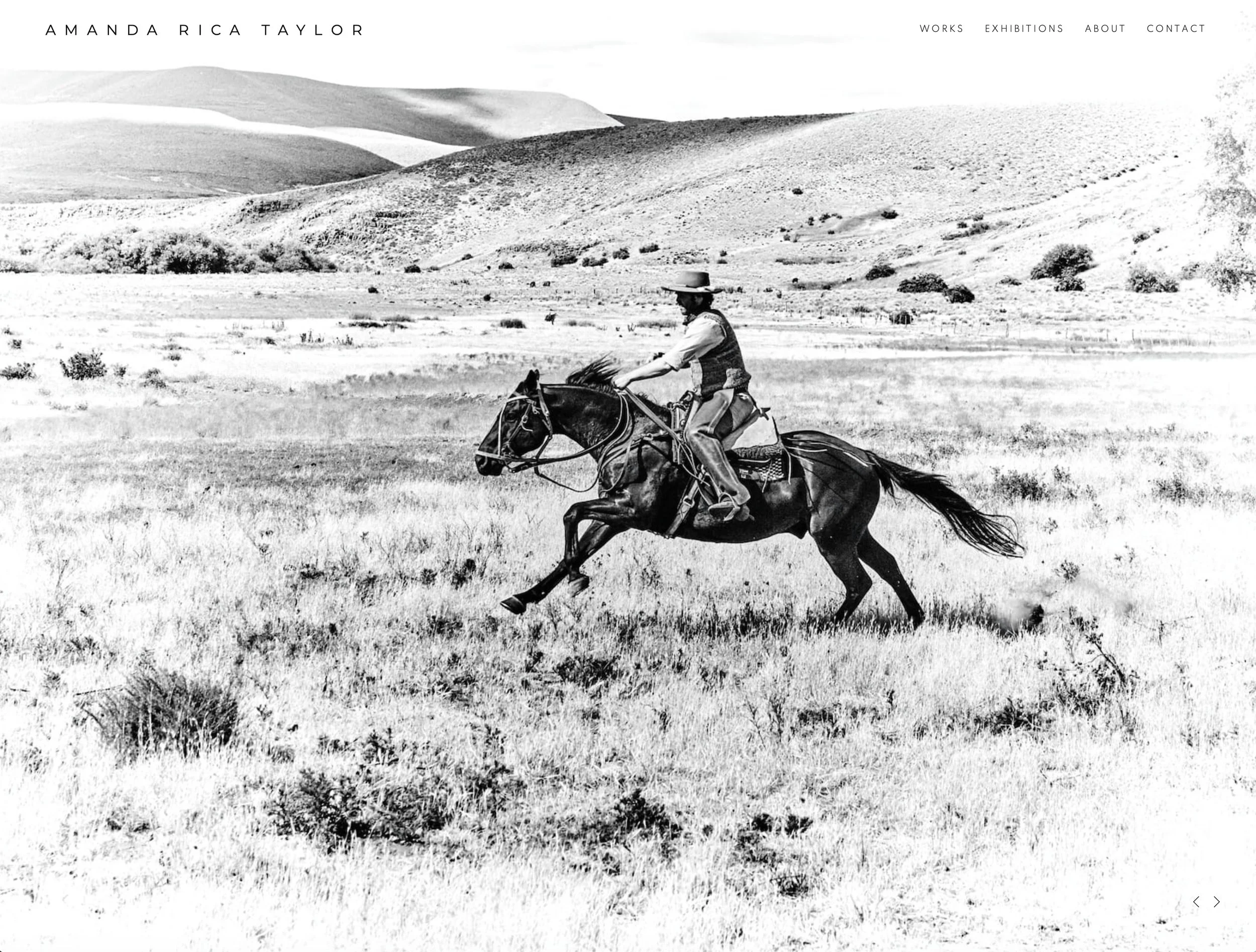 Artist website