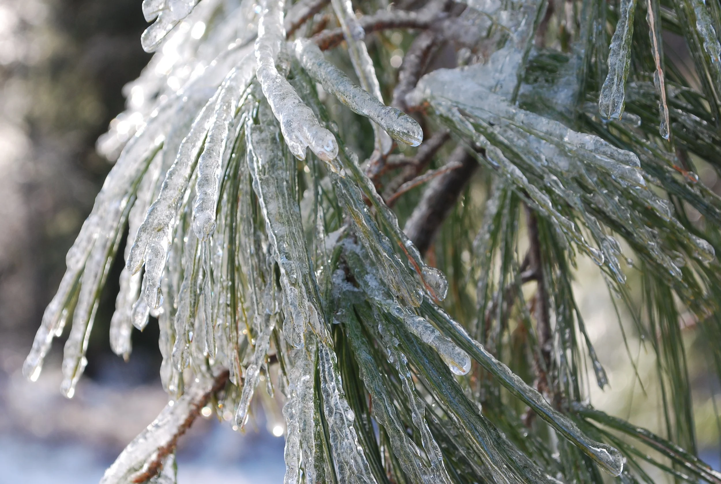 How I made a difference this week.