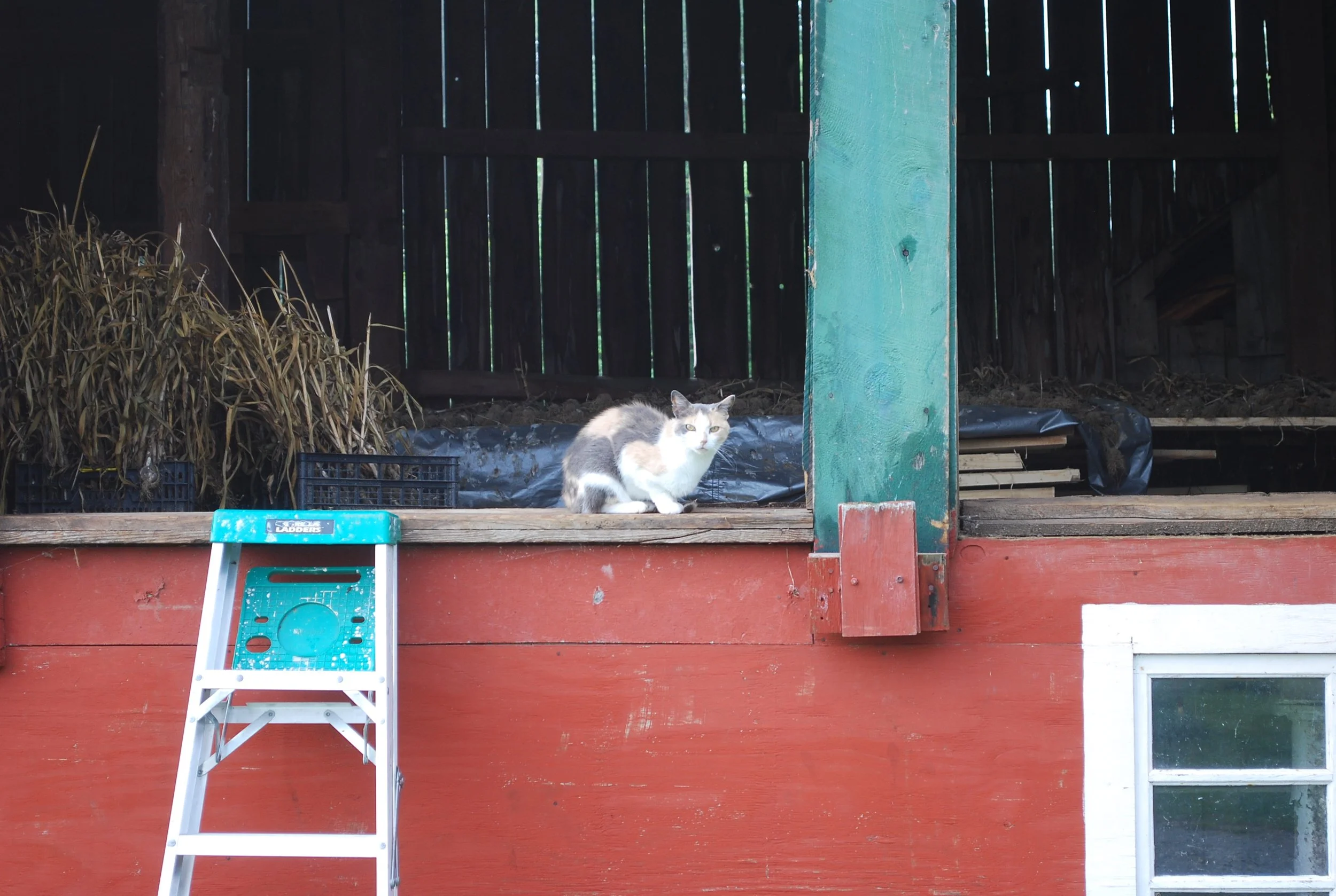 Rethinking Philanthropy as a Portfolio