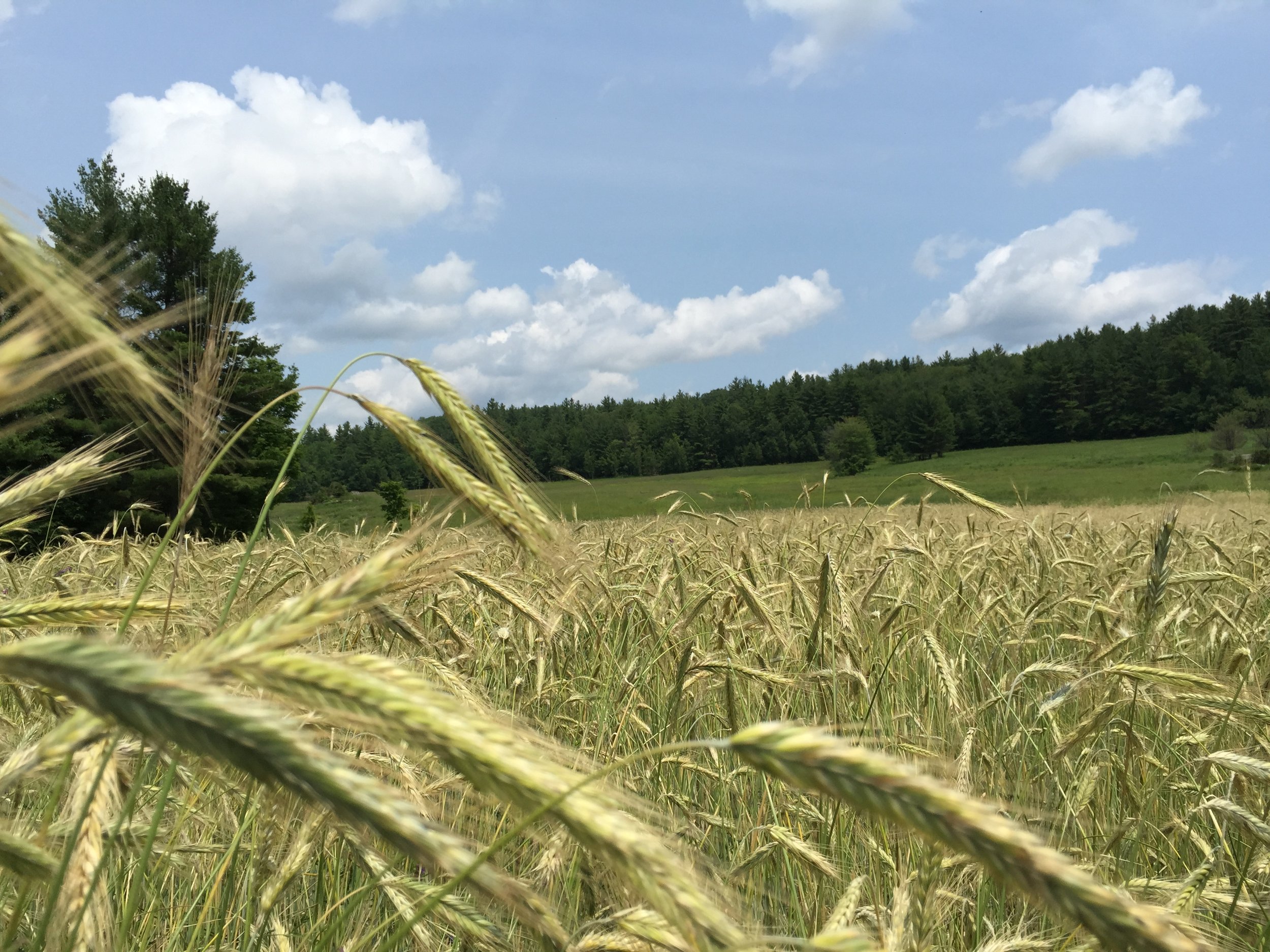 When “Doing It Yourself” Starts to Cost You More Than Money