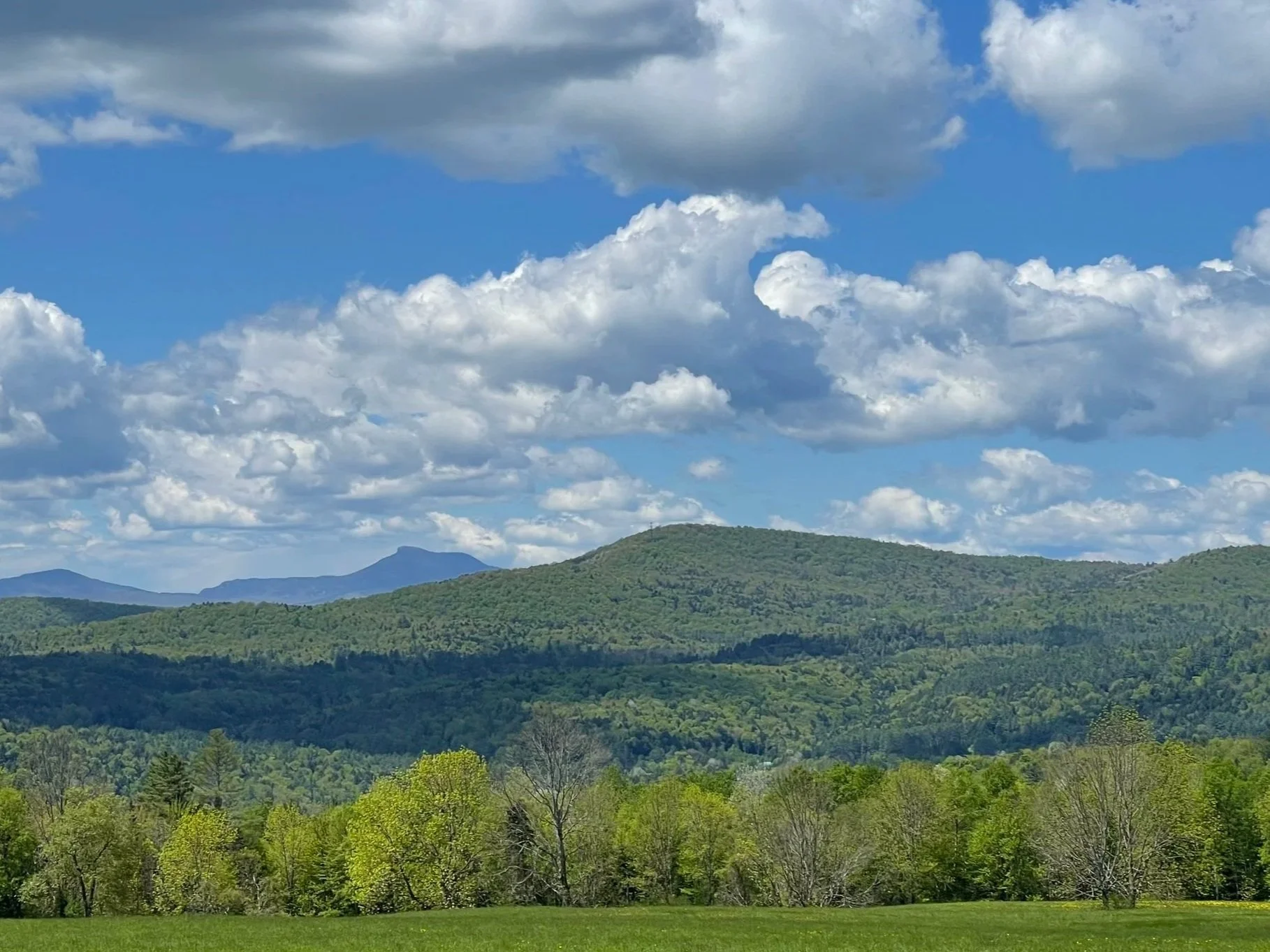 Aligned Giving and the Modern Estate Plan