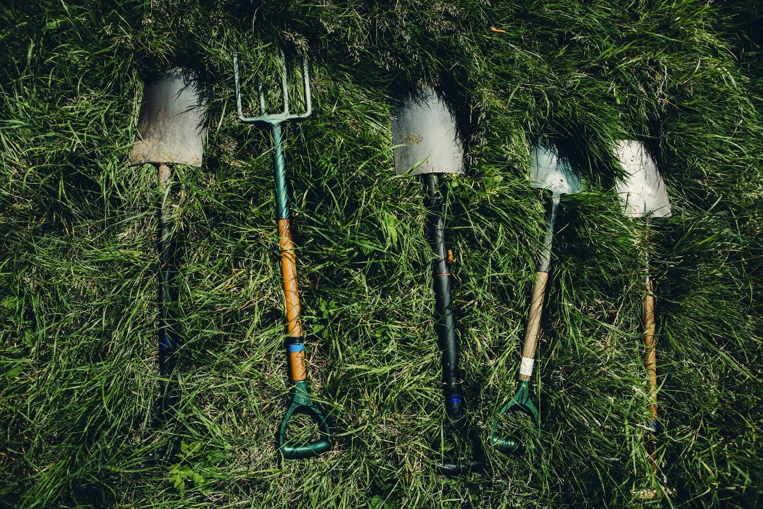 Five gardening shovels with metal blades and wooden or plastic handles, lying on green grass.
