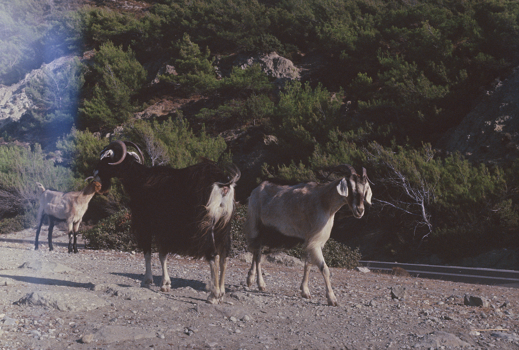 R1-01041-0014.2.png
