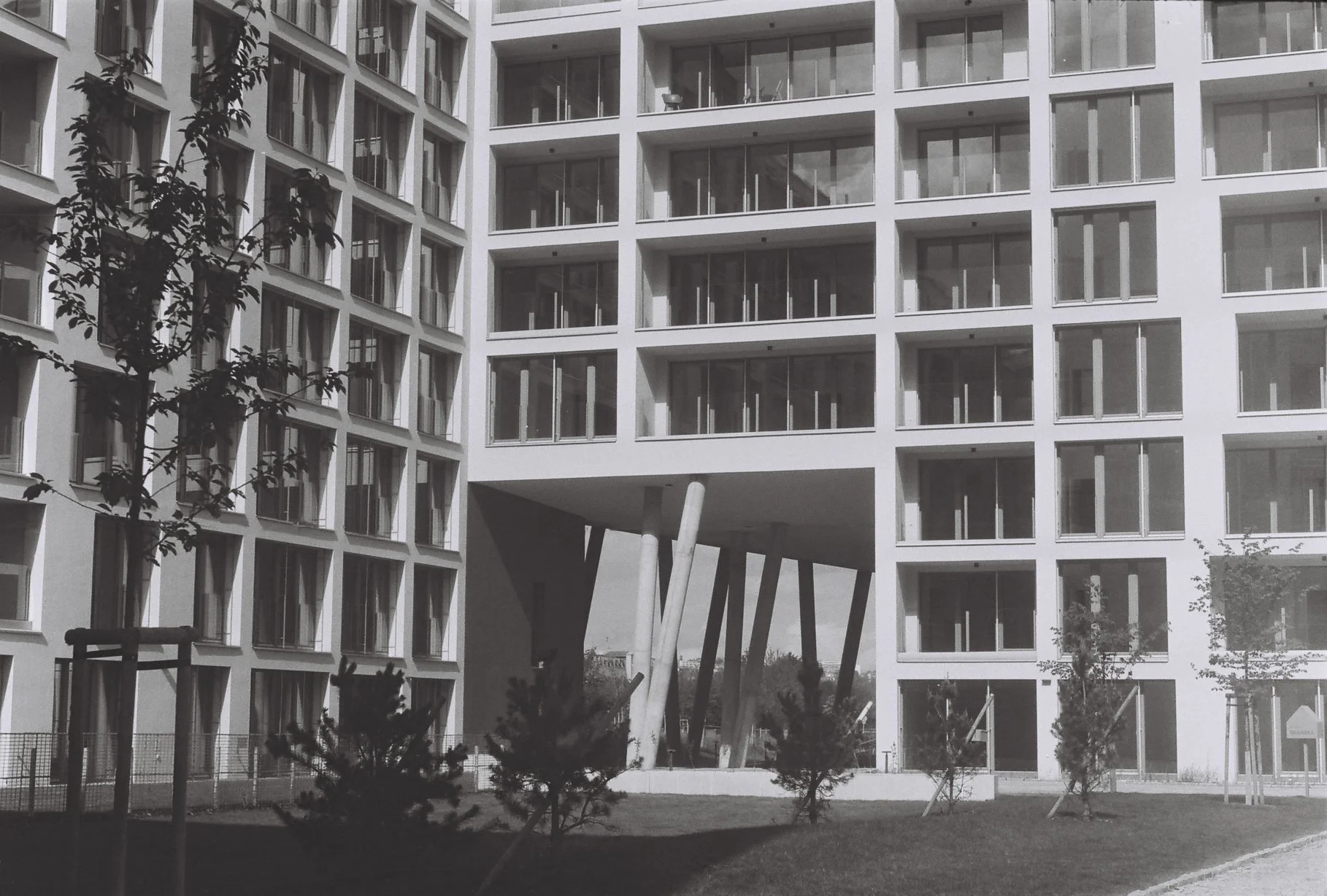 Roll1_00000011.2 (2).jpg