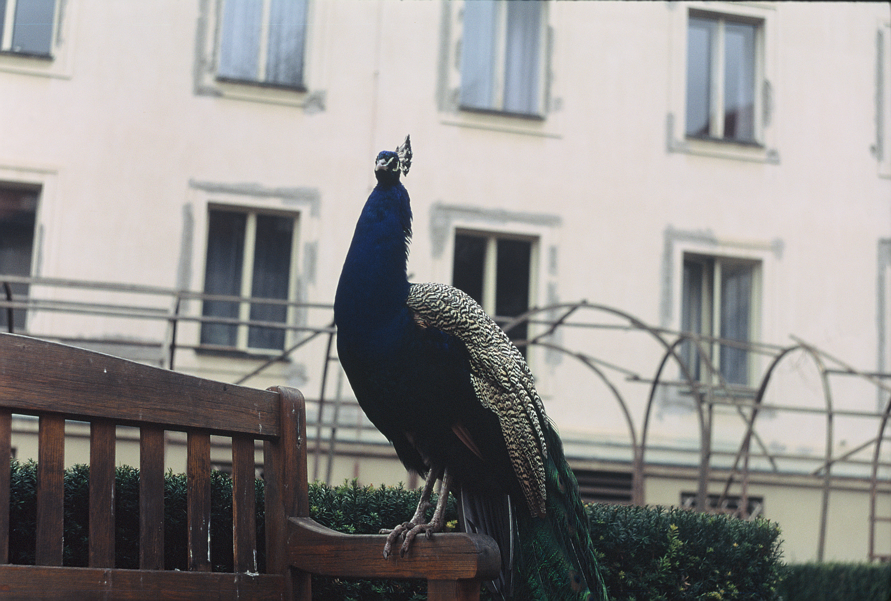 R1-05521-0030.2.png