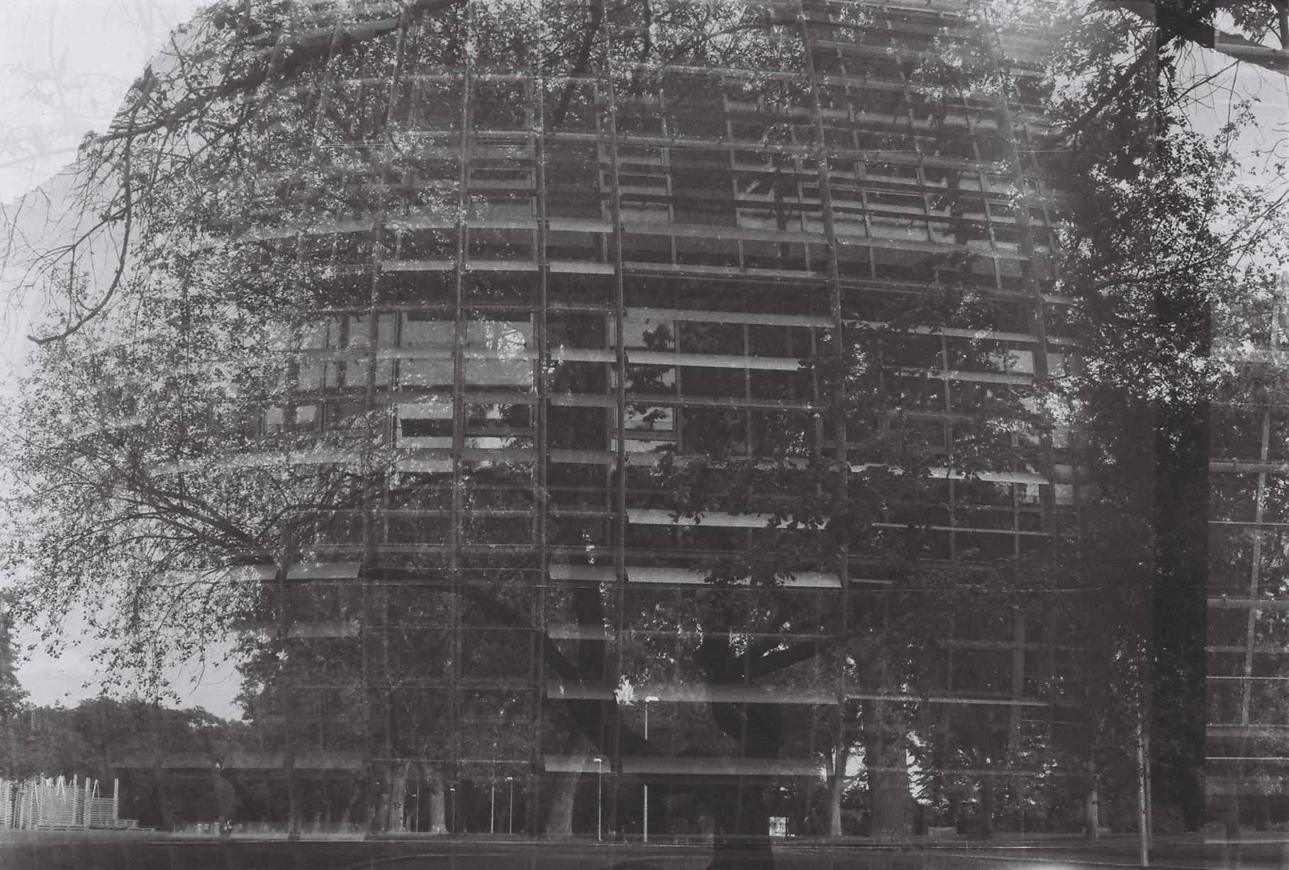 Roll1_00000004.2 (2).jpg