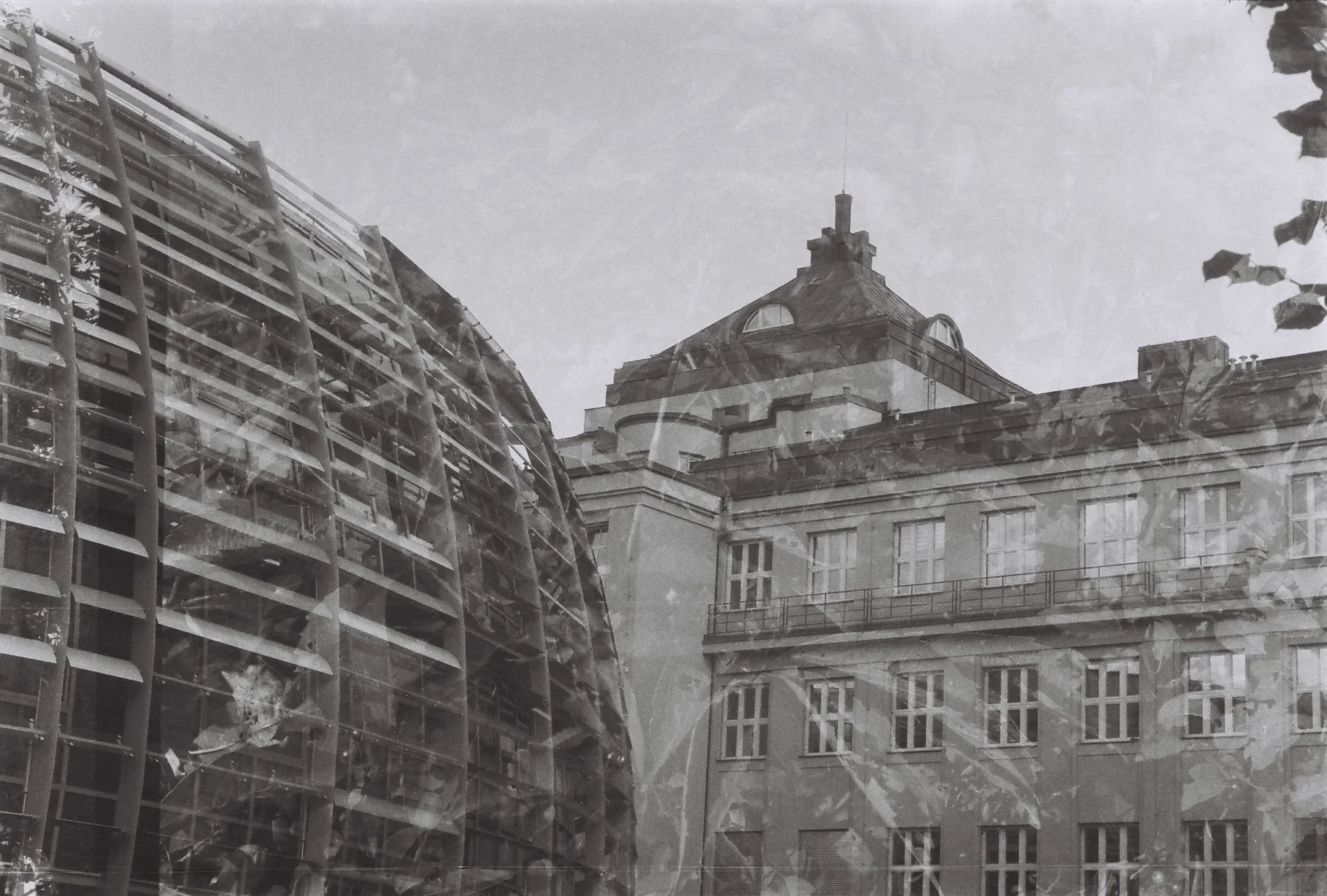 Roll1_00000006.2 (2).jpg