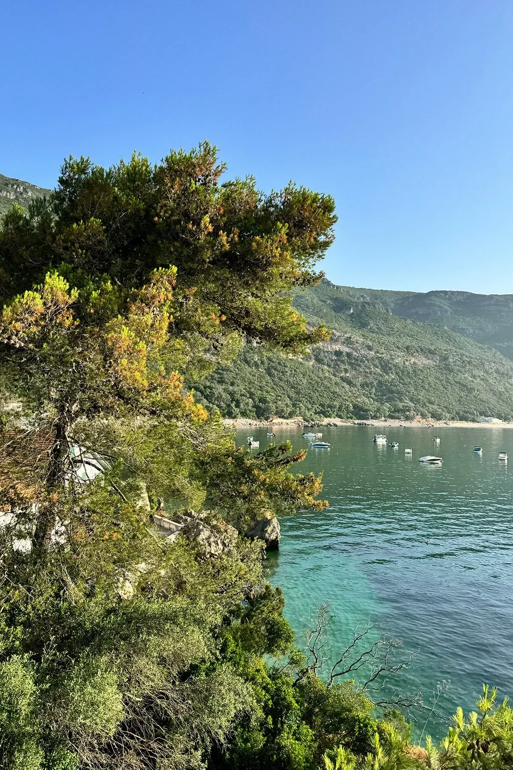 A view of a serene lake surrounded by lush green trees and mountains, with small boats floating on the calm water under a clear blue sky.
