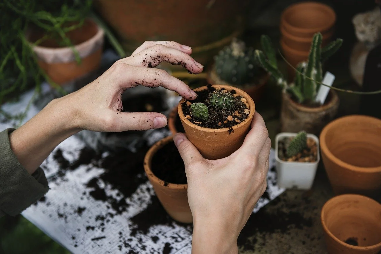 Weekly Plant Care Membership