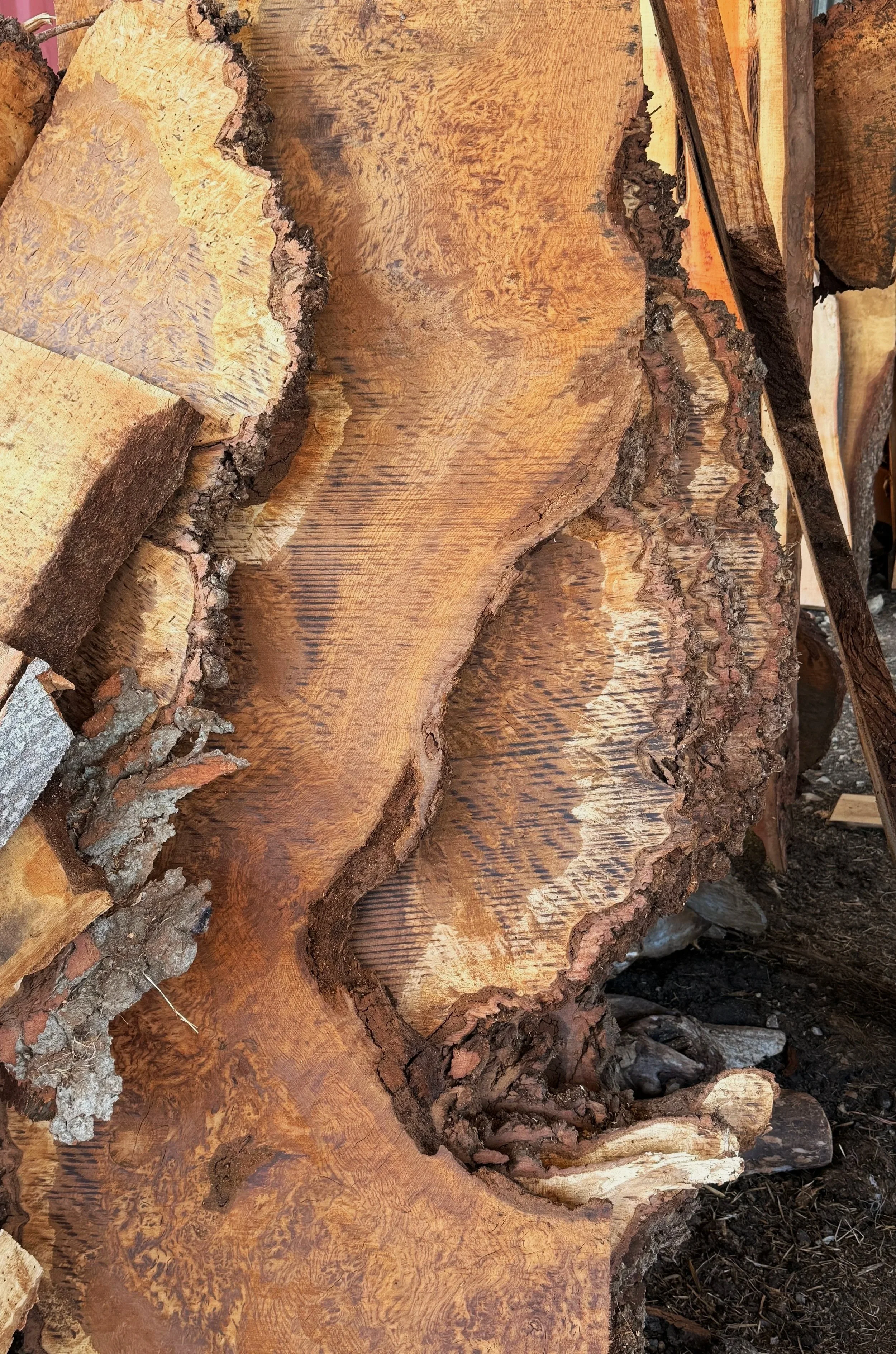 burr oak solid timber boards in a saw mill dedicated to sustainable timber based in Bristol