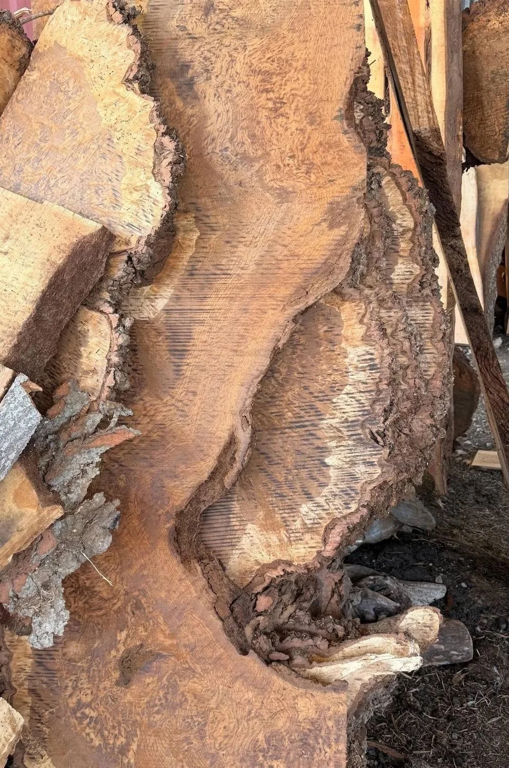 burr oak solid timber boards in a saw mill dedicated to sustainable timber based in Bristol