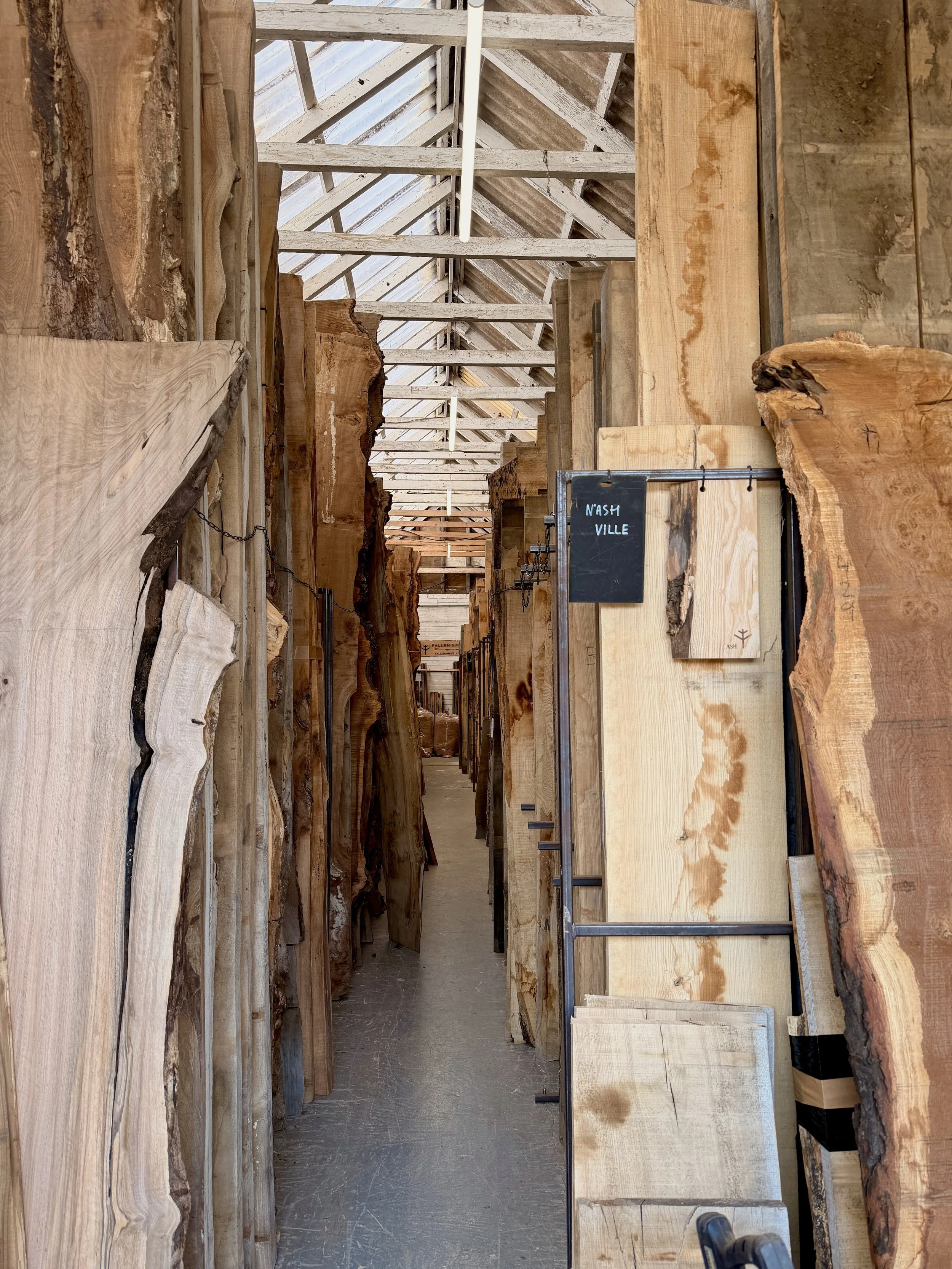 In a timber yard 3m high boards of British hardwoods are stacked where they sustainably source all of their timber from being wasted and kiln dry it in house