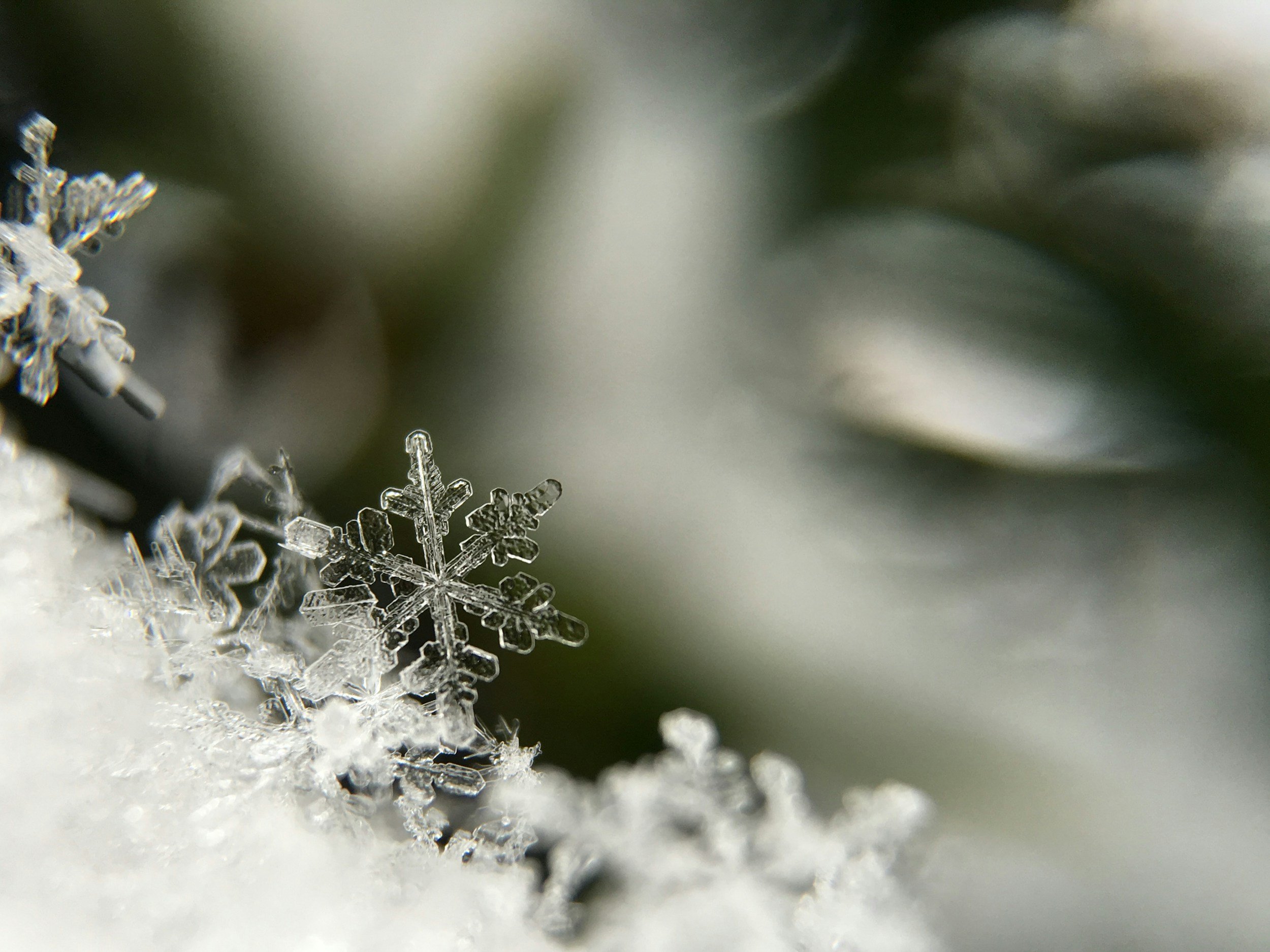 Holiday Call Surges Are Predictable. Here’s How Smart Practices Prepare.
