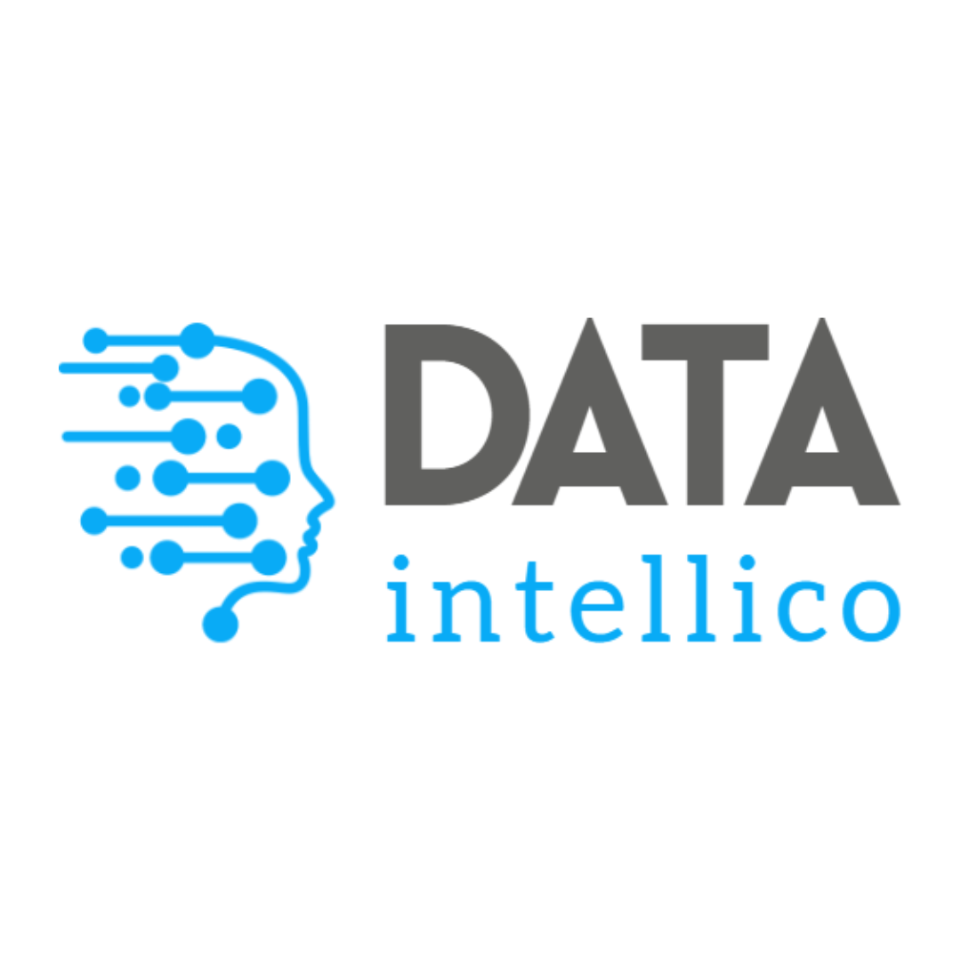 Data intellico logo