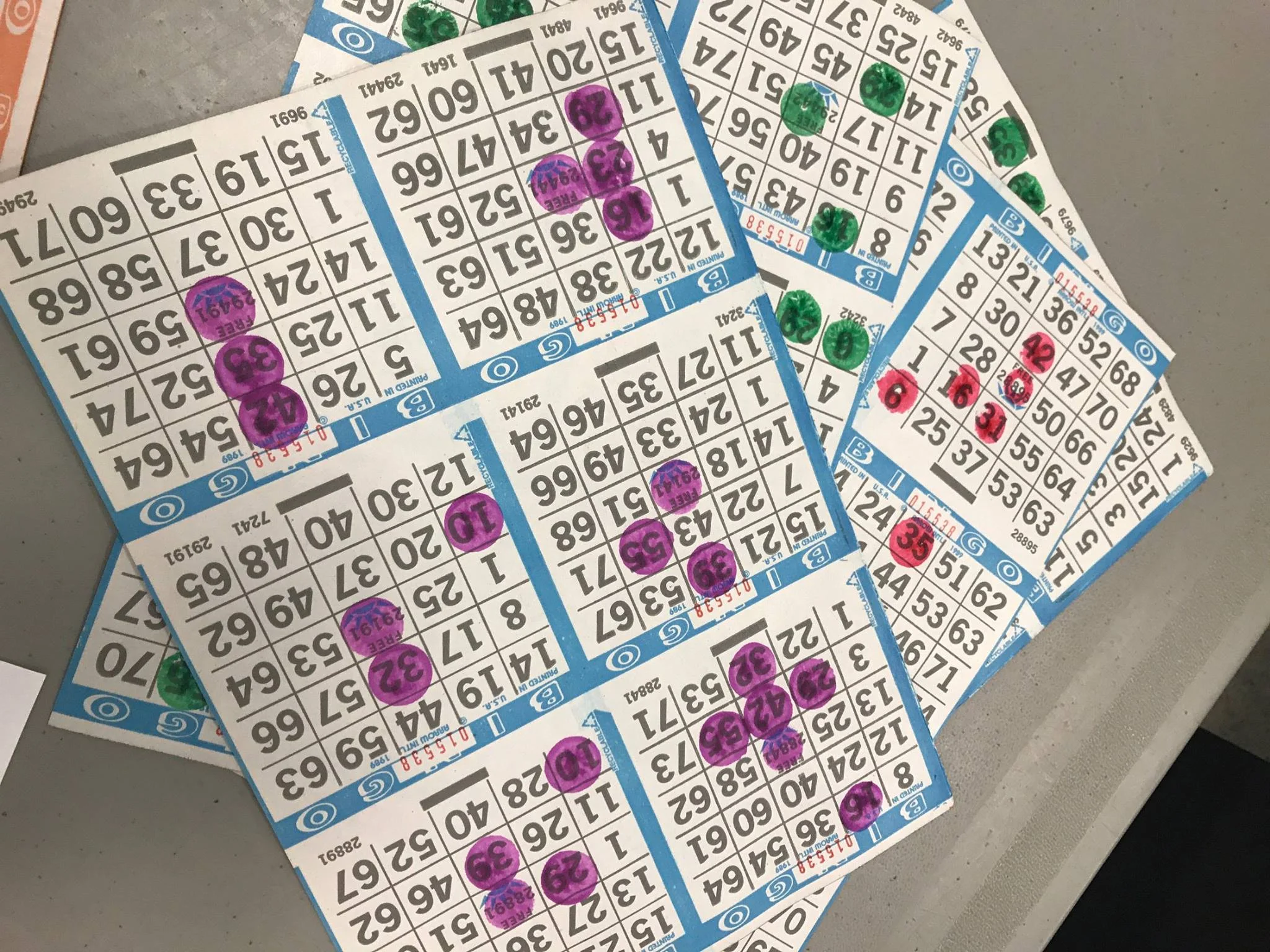 21167052_1720508274699101_3289435695140879683_o.jpg