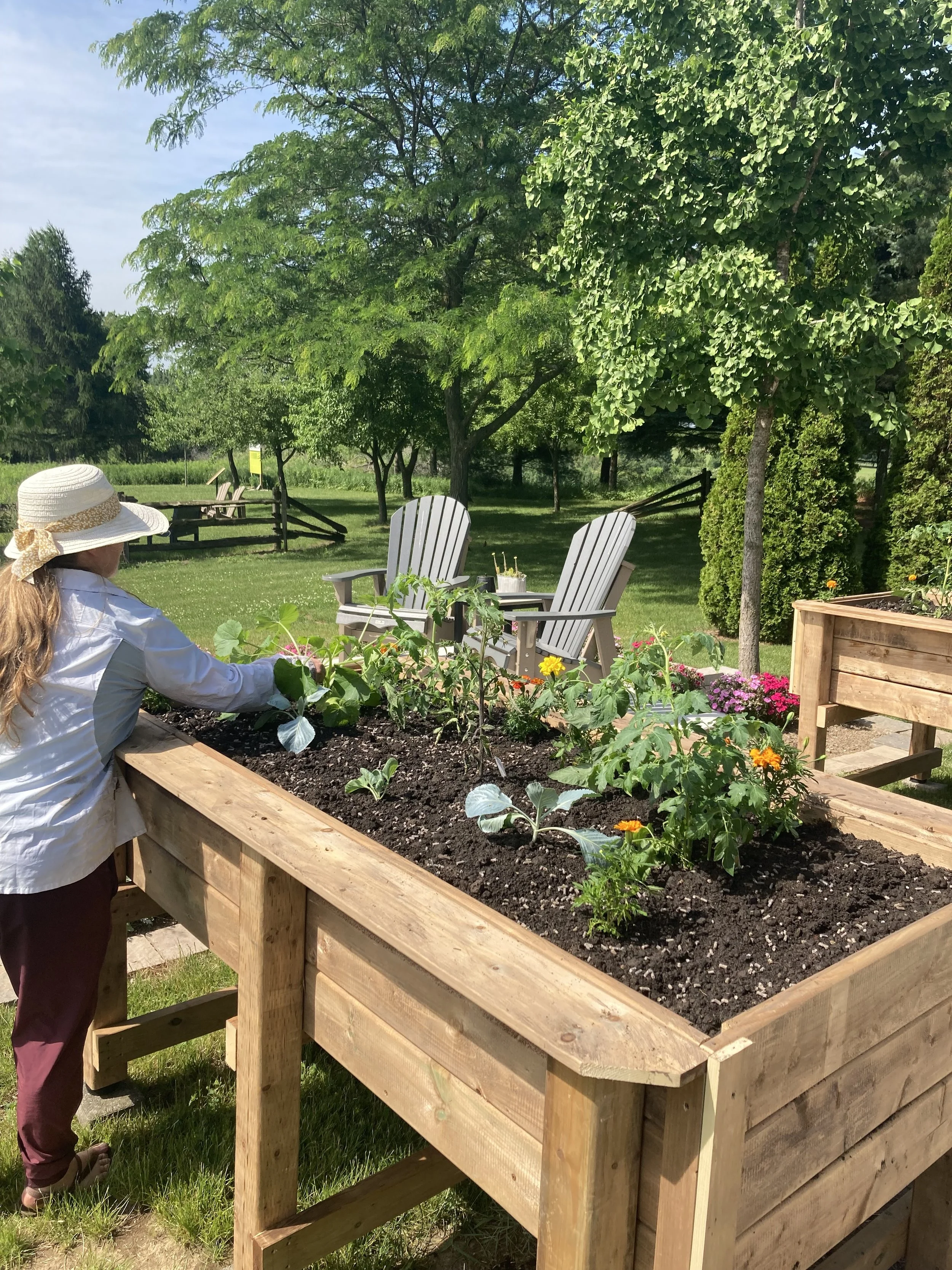 Veggie Garden 2.jpeg