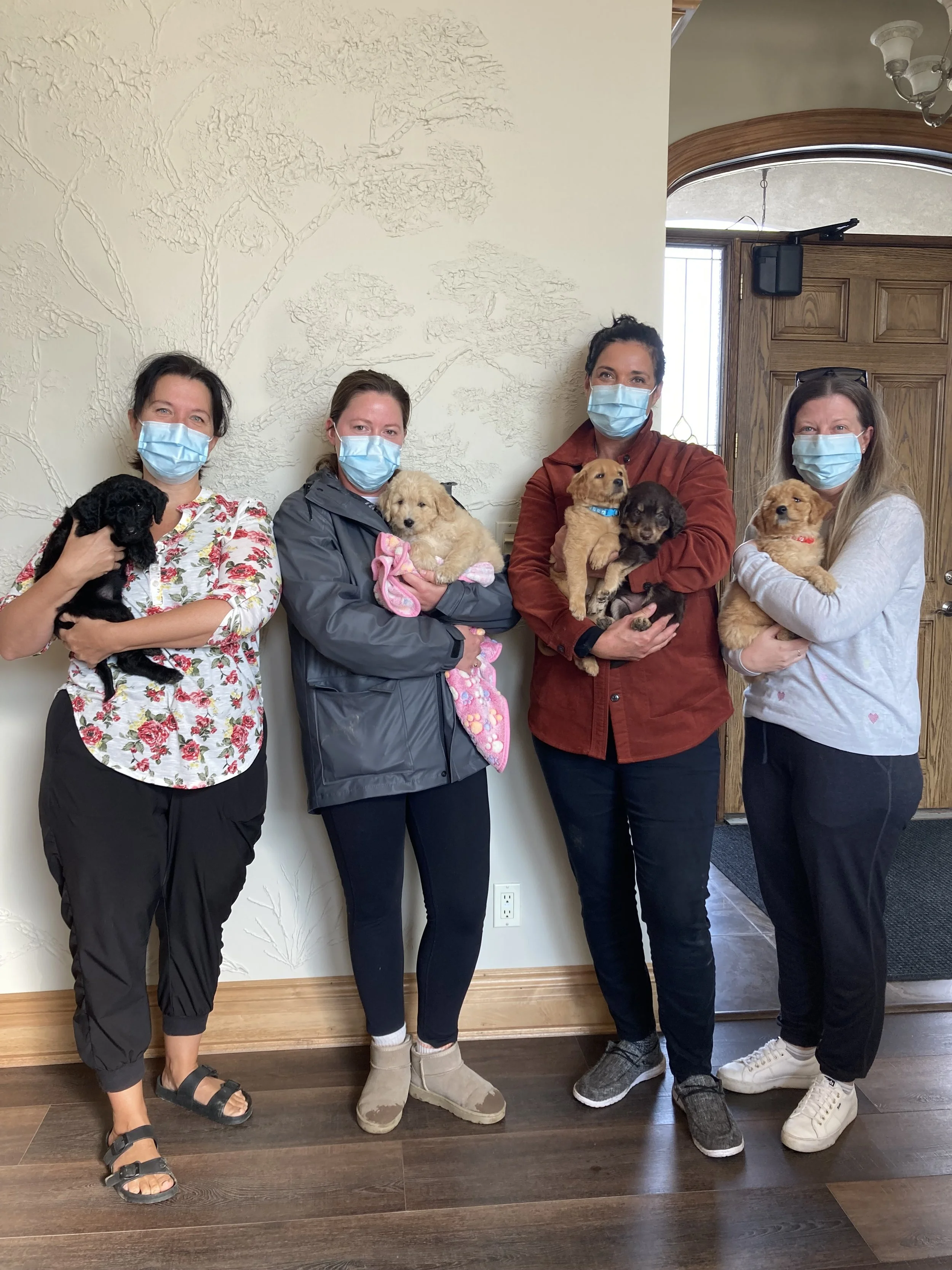 Puppy Day with Nurses.jpeg