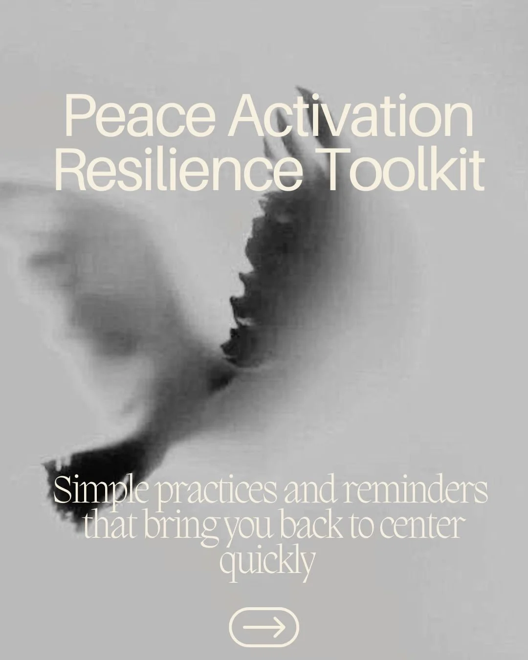 What is part of your Resilience Toolkit in the face of conflict?

A reminder that resilience isn&rsquo;t built only in the hard moments,  it&rsquo;s cultivated through the small, consistent choices you make to care for your energy every day.

We are 