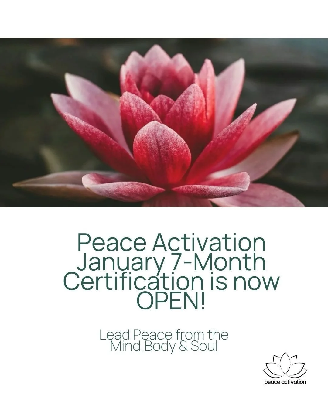 *What if 2026 could be the year you actually live in peace?*

The Peace Activation Leadership Program is a 7-month, deeply embodied training led by @evadalak , whose decades of experience guiding leaders, parents, and changemakers has shown her how t