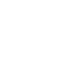 A black and white image of a seashell with radiating lines and a scalloped edge.