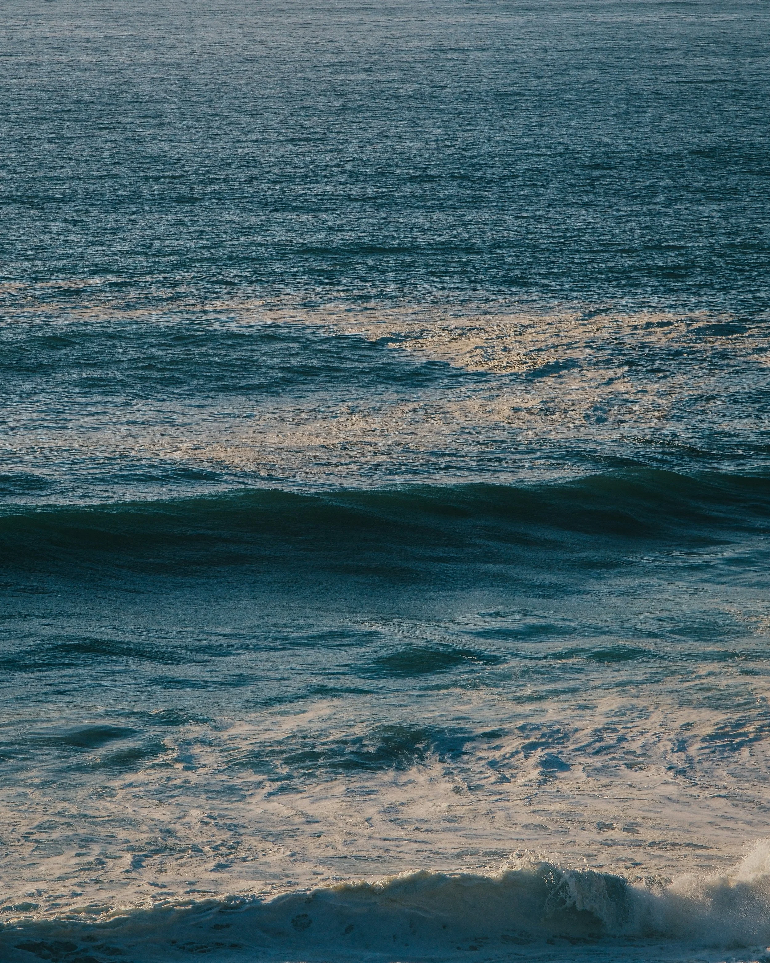 Nicole Williams, Environmental Journalist