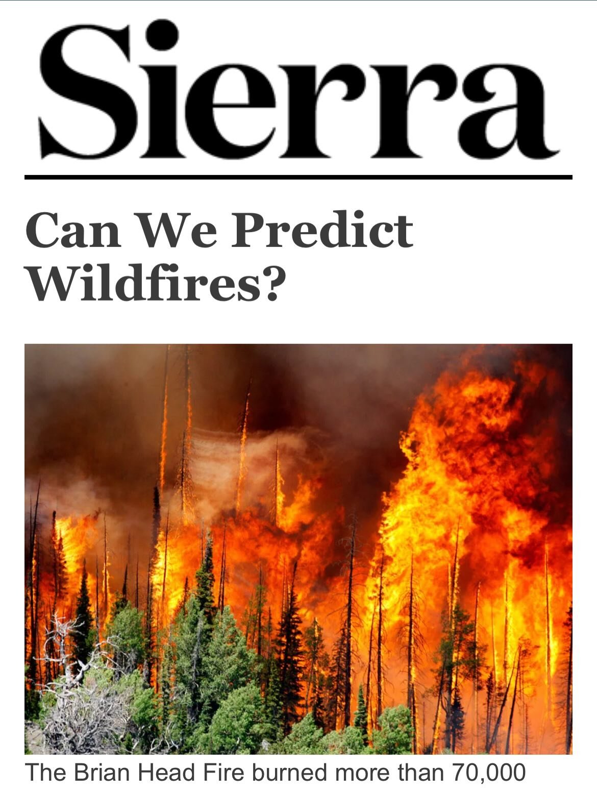 2025 helped me stretch as a writer in ways I had long imagined. While I am incredibly grateful for all of my reporting opportunities, it was really fun to spend extended periods of time with each subject, interviewing and researching to get a better 