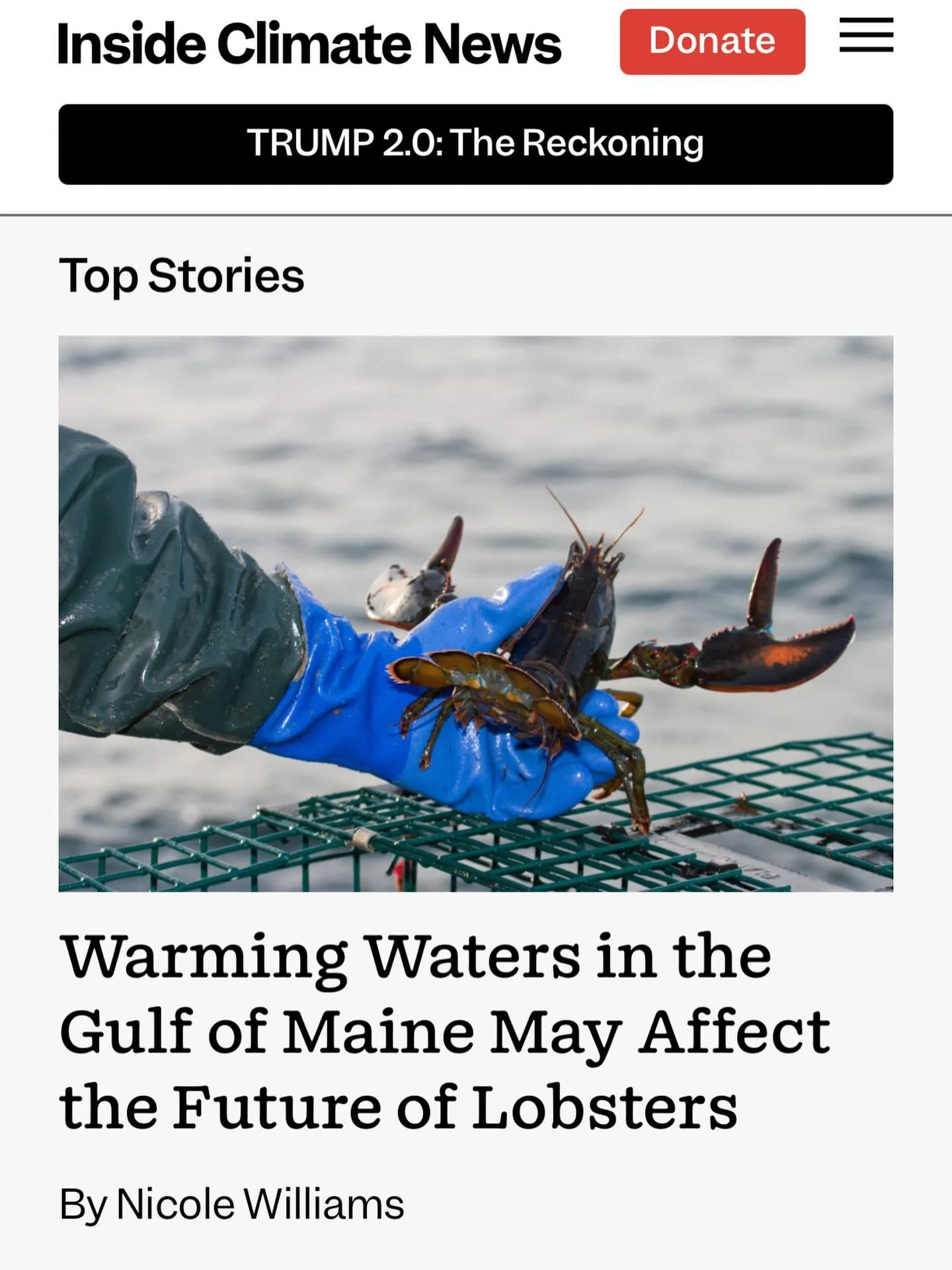 I grew up summering in Maine, so the ecology is close to my heart. This study that came out in October was so interesting to read. I am so grateful to all those who took the time to interview and explain the science of what's happening in the Gulf of