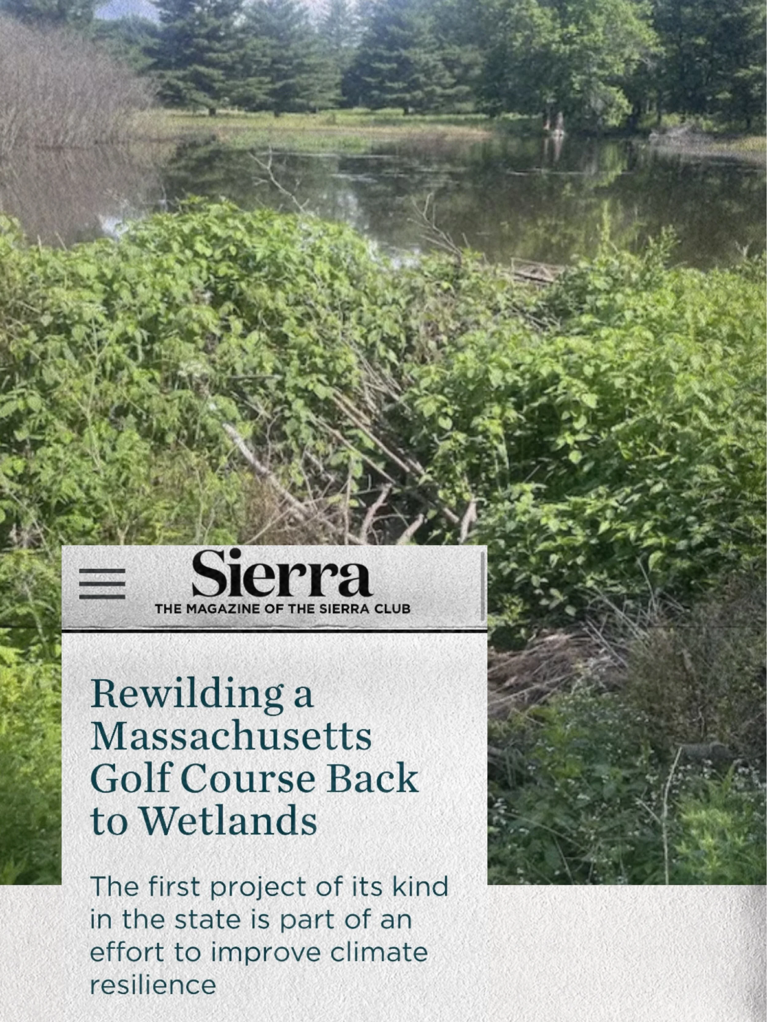 Massachusetts is trending in the rewilding of a retired golf course, the first project of its kind in the state, in an effort to improve the region&rsquo;s overall climate resilience.

The project underway in Northampton, Massachusetts, is the rehabi