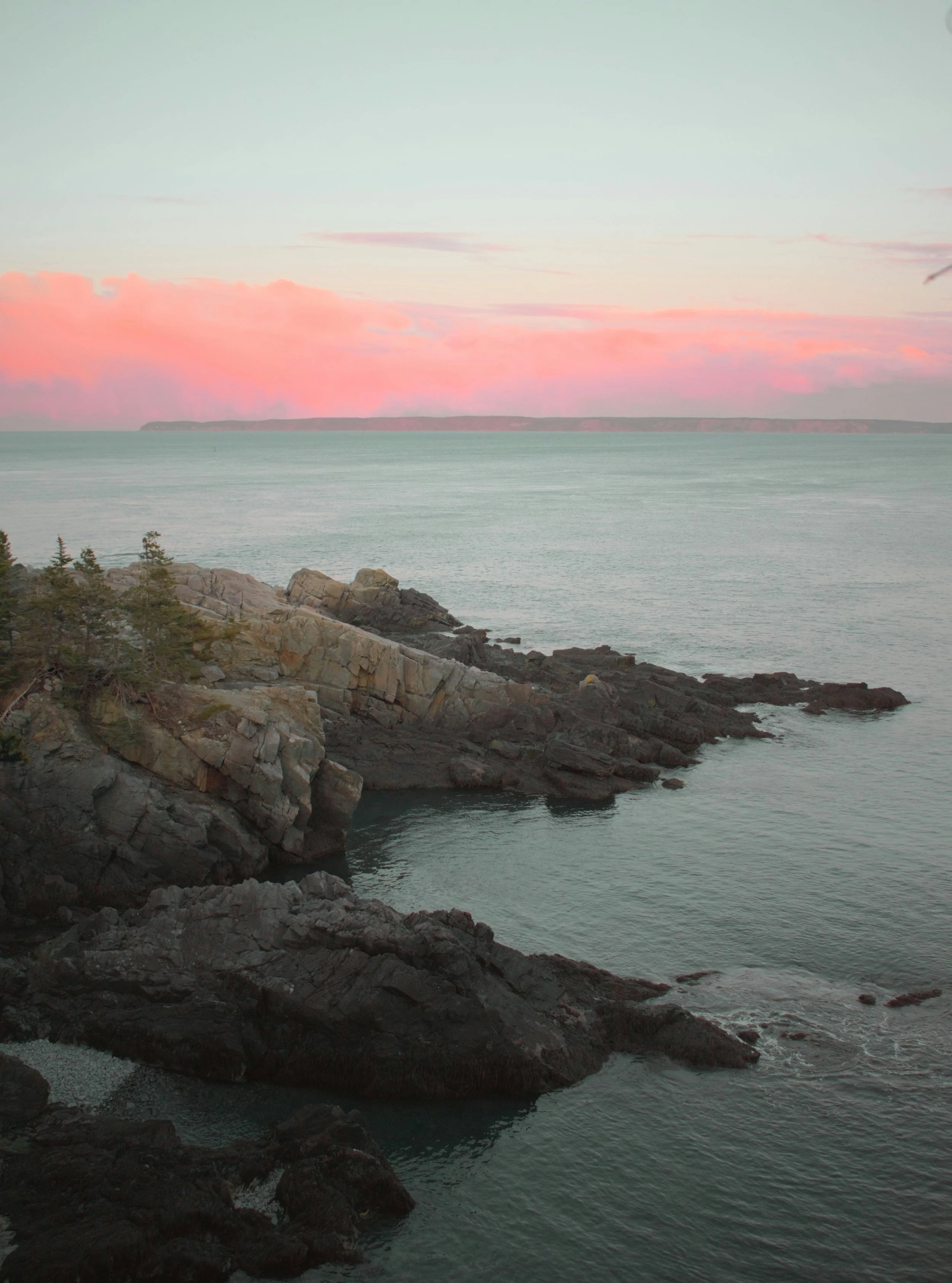 Nicole Williams, Environmental Journalist