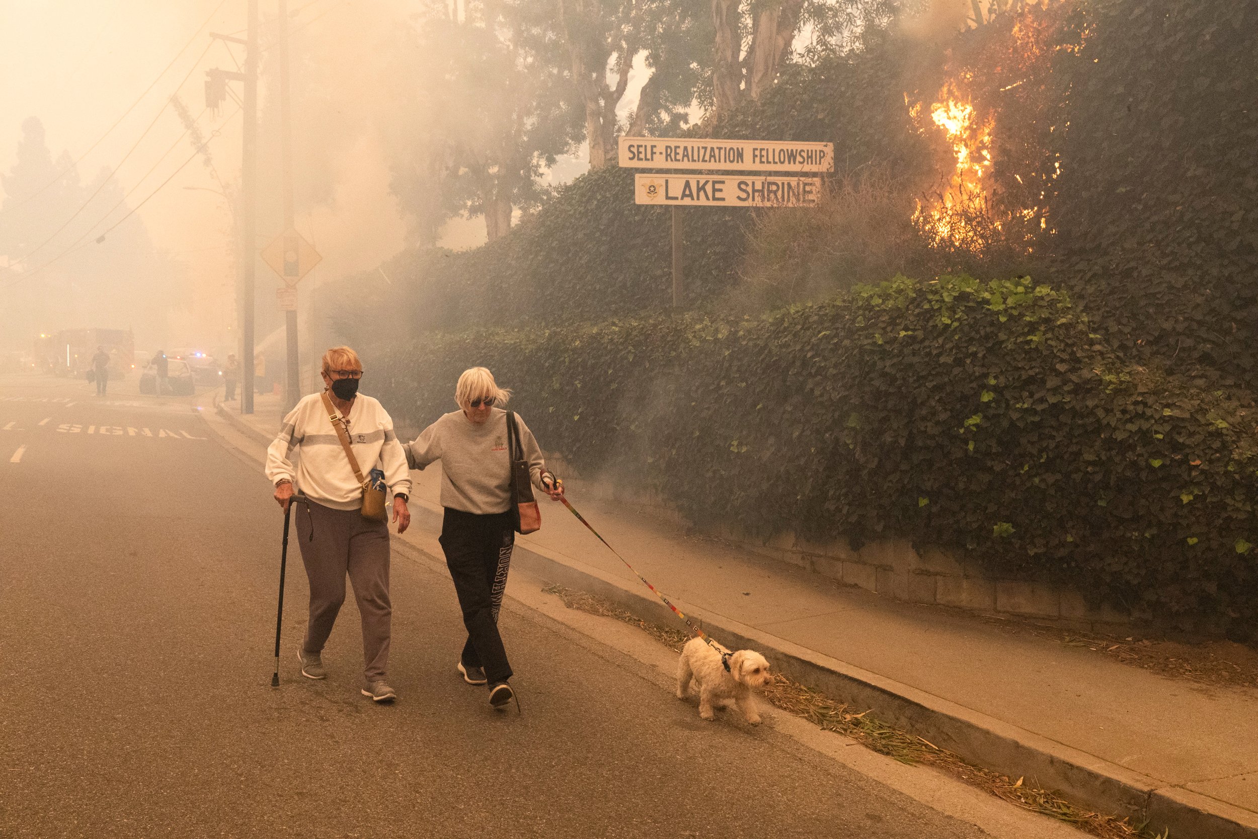 Inside Climate News: Doctors and Medical Schools Are Changing Treatments and Training to Respond to the Warming Climate