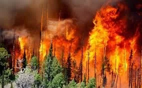 Sierra Magazine: Can We Predict Wildfires