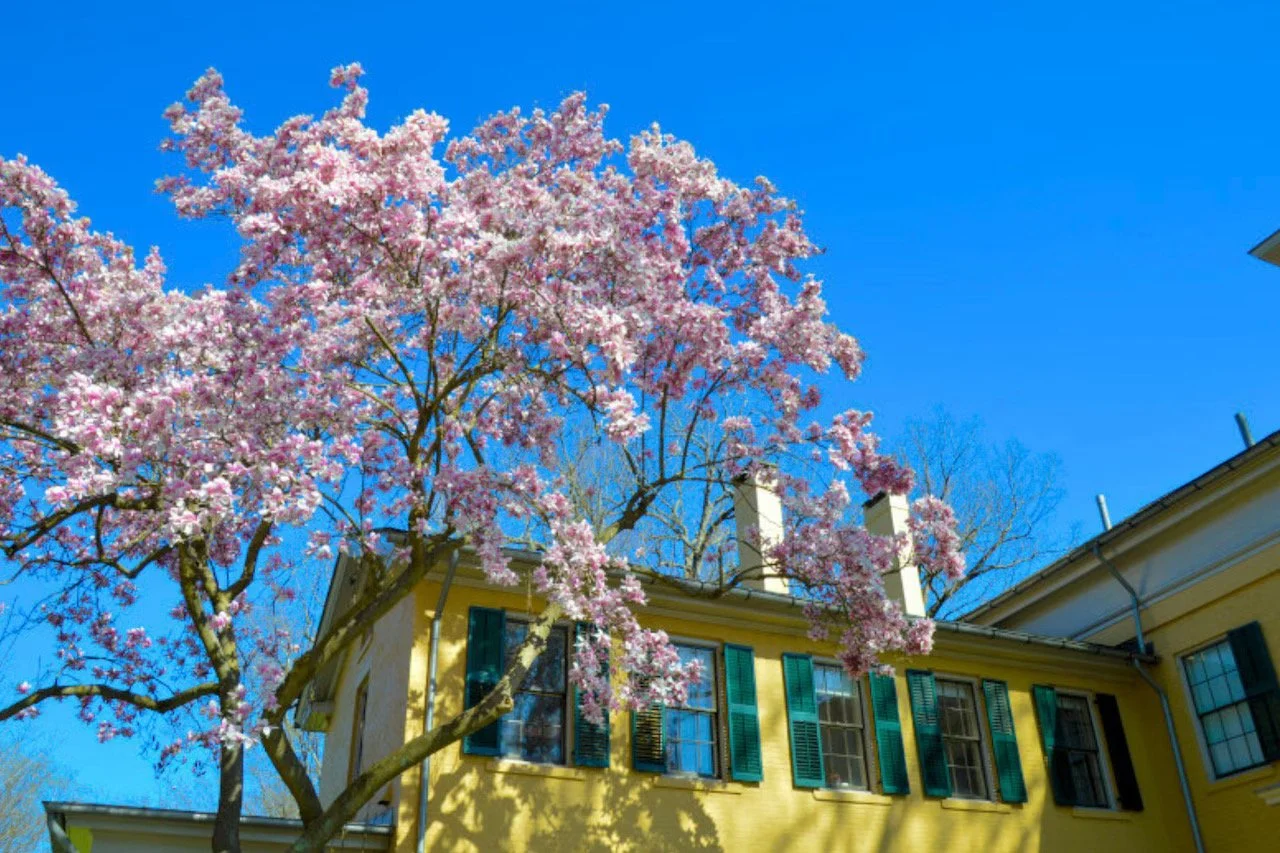 The Springfield Republican: UMass researchers mull preservation of native plants, in face of accelerating climate shifts