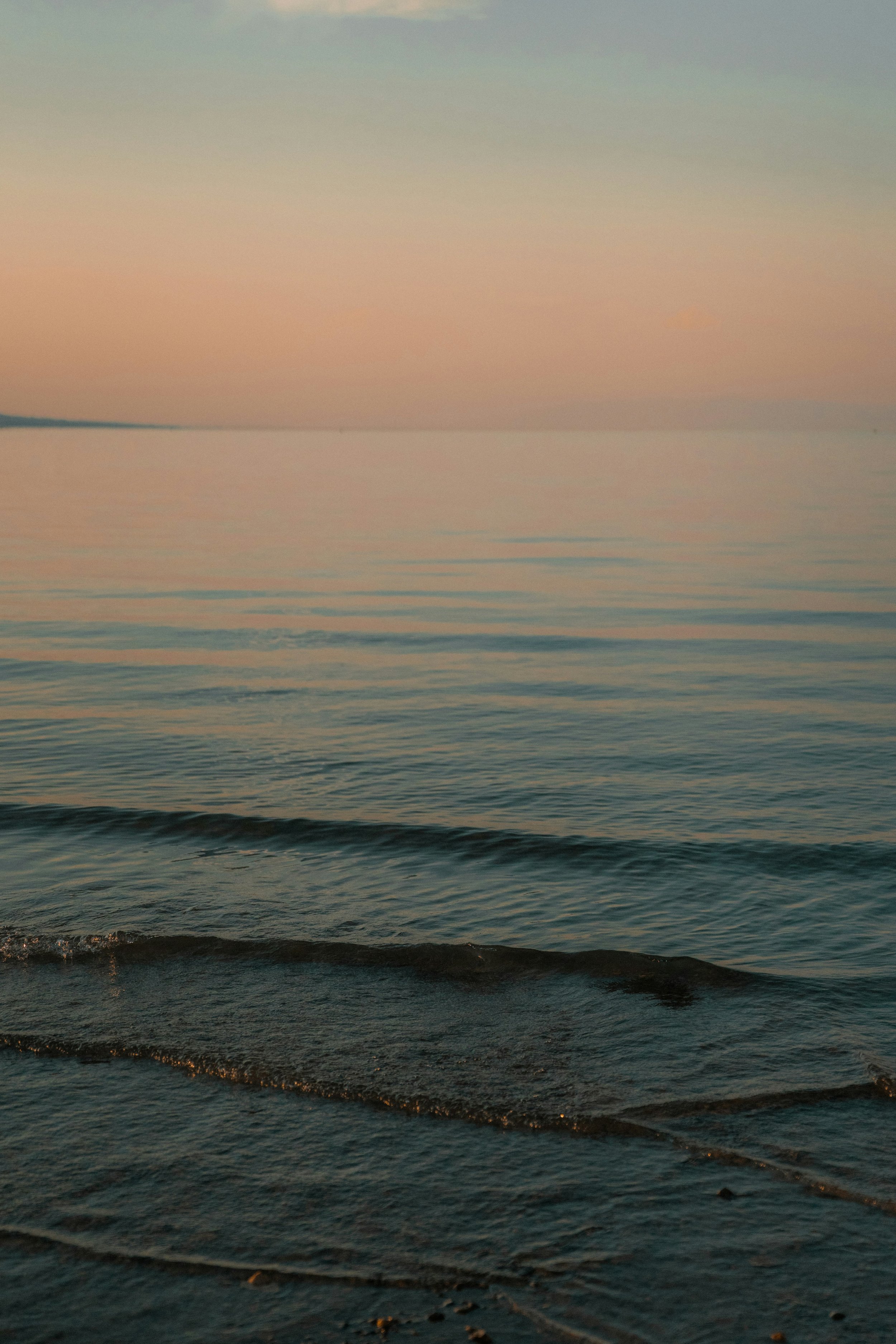 Nicole Williams, Environmental Journalist